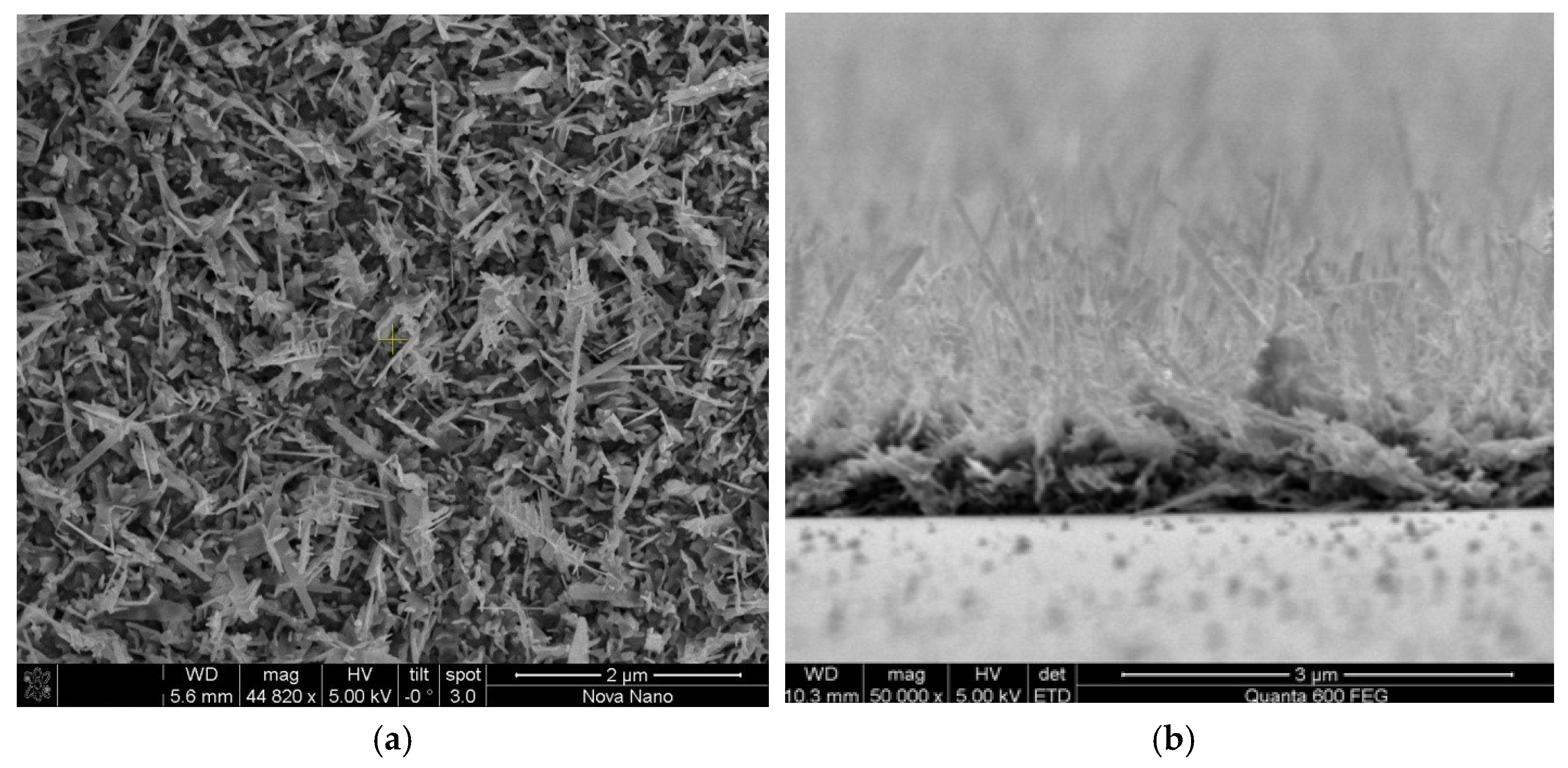 Crystals 13 00876 g009