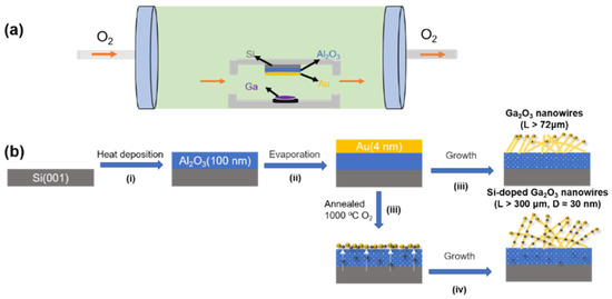 ワイルド Comparative Transcriptome Analysis of CMV or 2b-Deficient