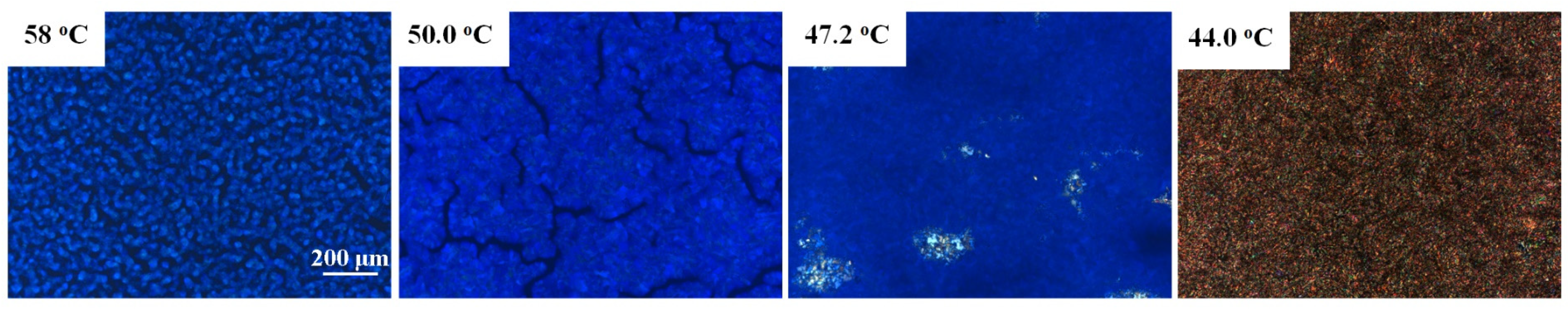 Crystals 13 00916 g005