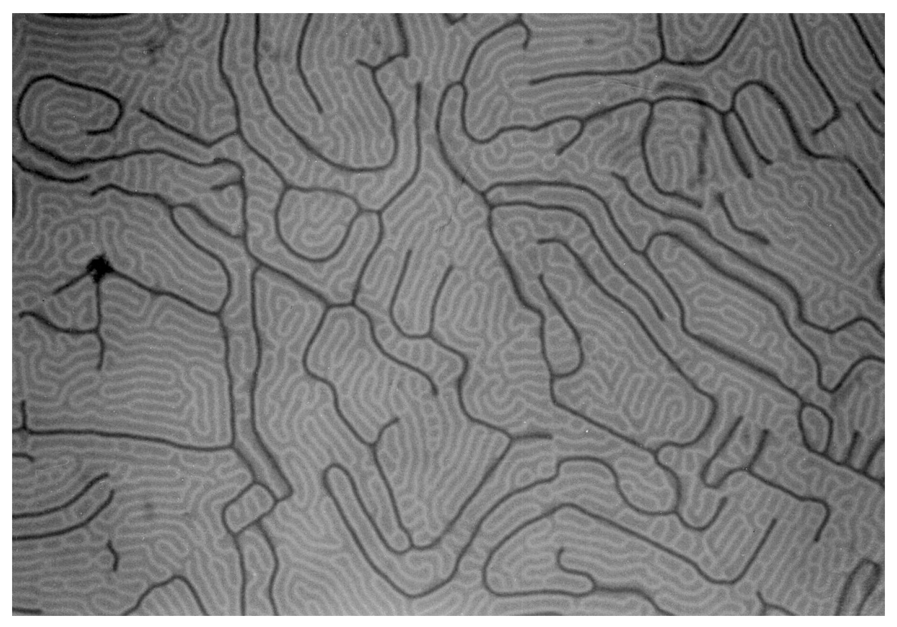 Crystals 13 00946 g028