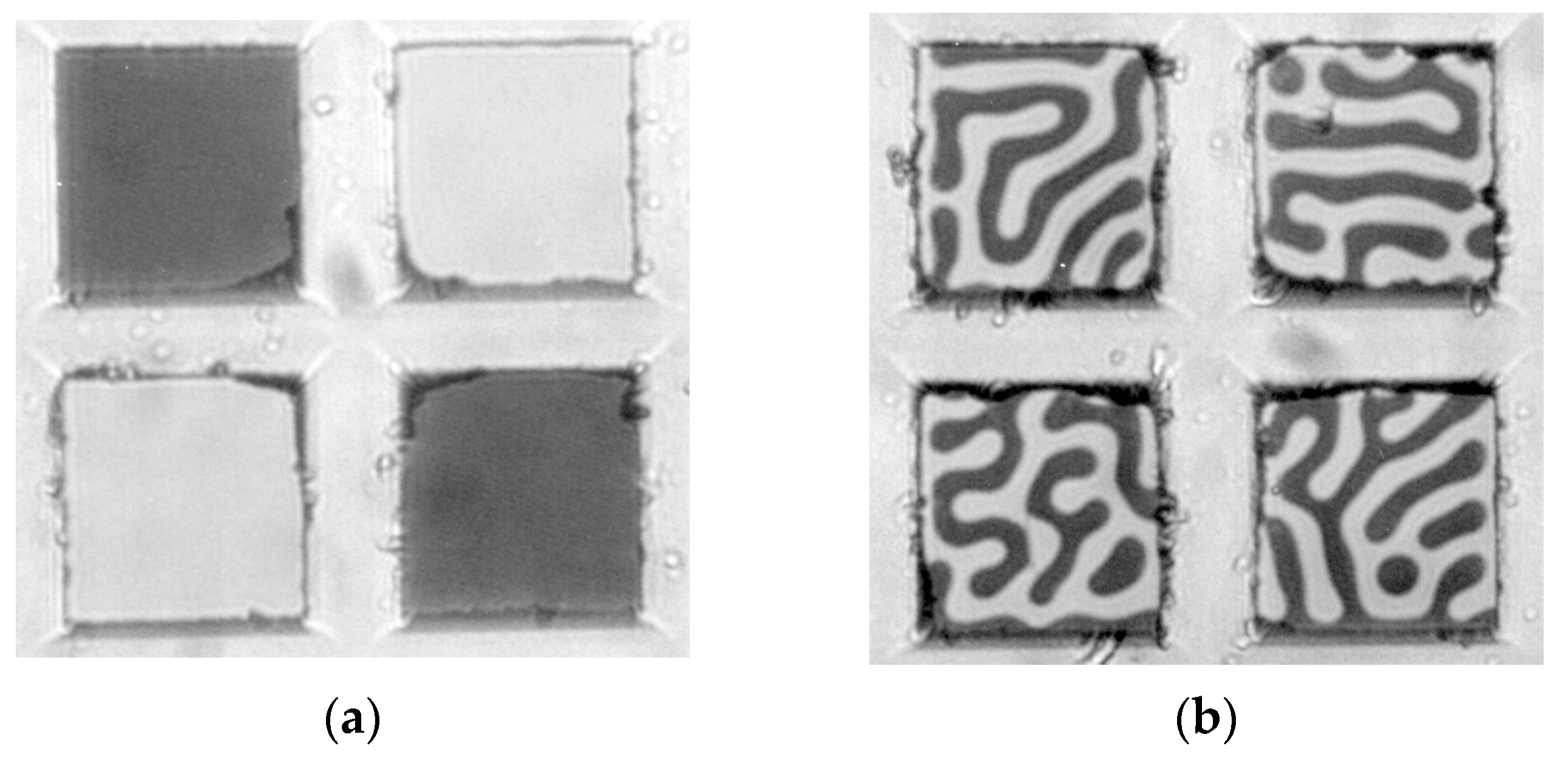 Crystals 13 00946 g035