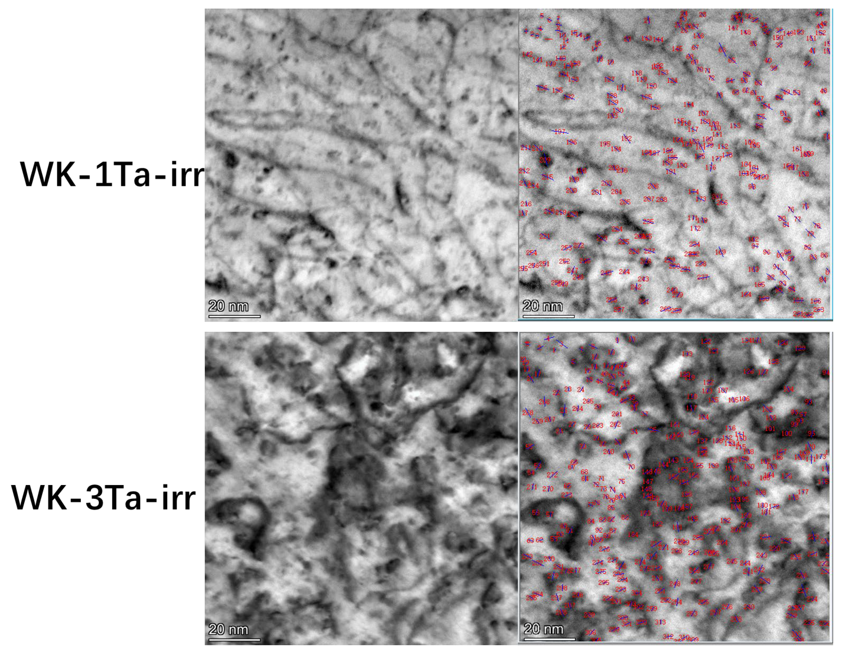 Crystals 13 00951 g010 Crystals 13 00951 g010