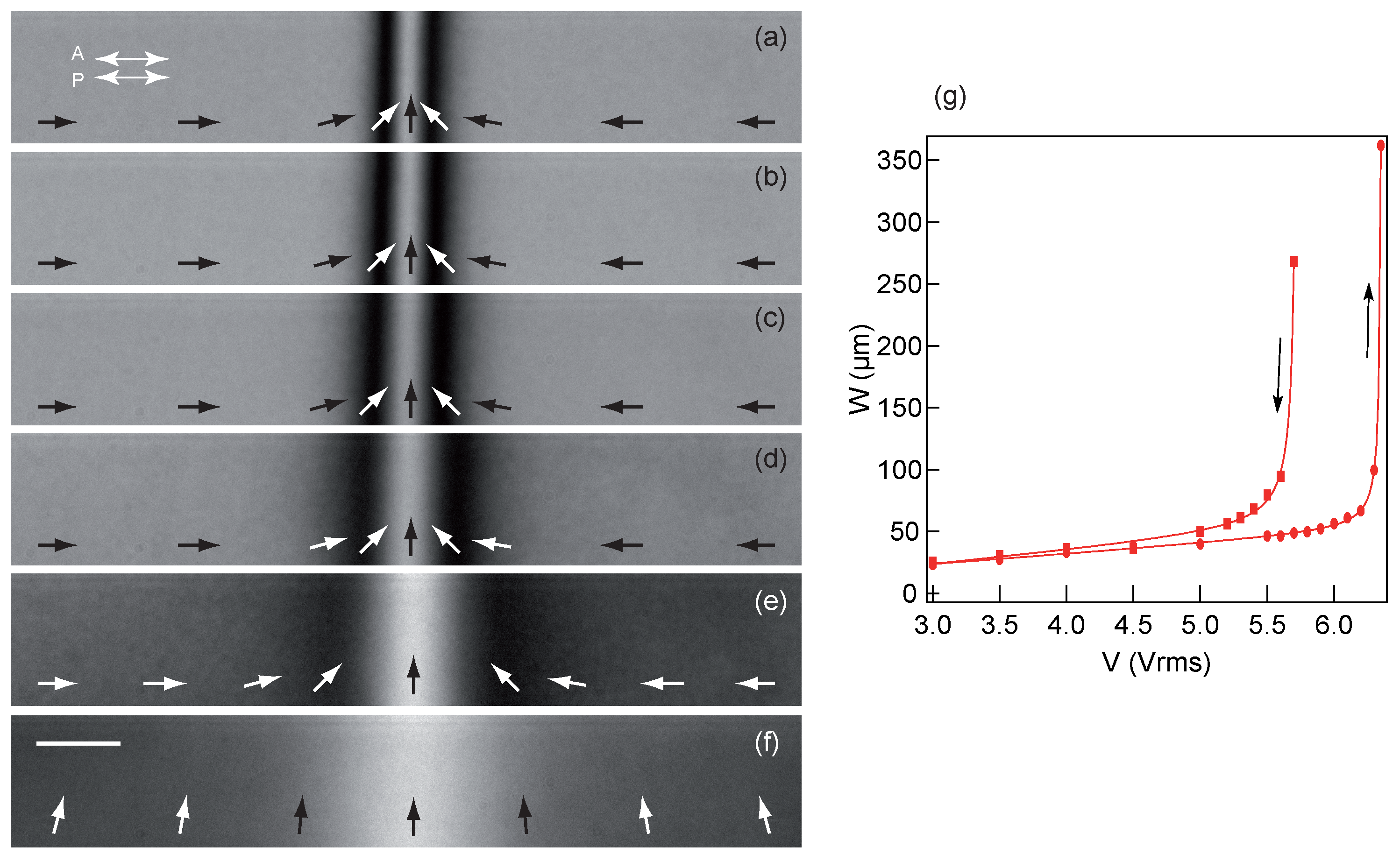 Crystals 13 00957 g009