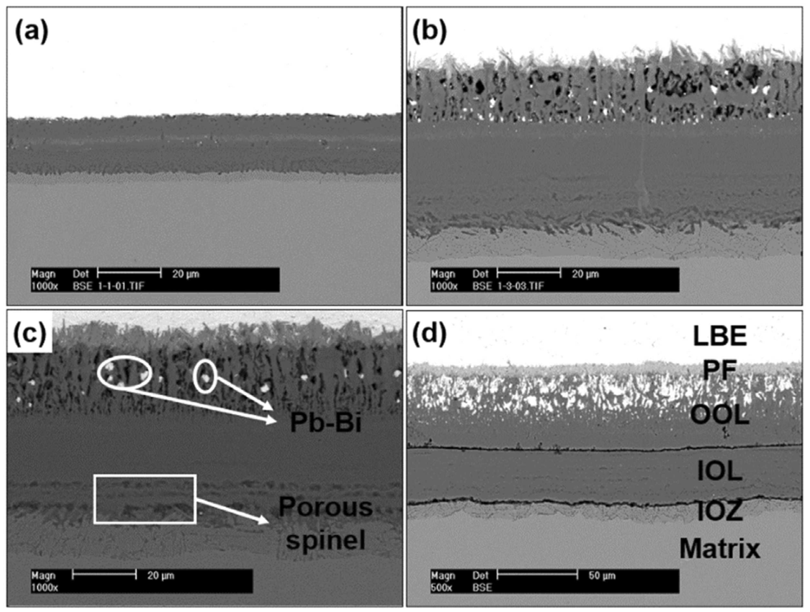 Crystals 13 00968 g002