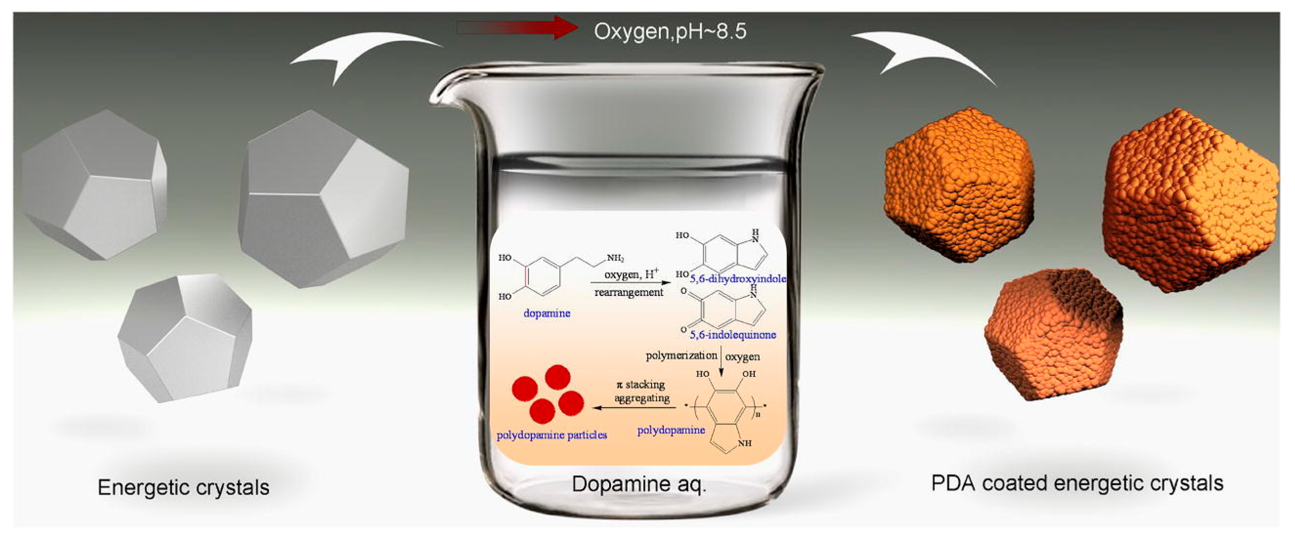 Oxidant Control of Polydopamine Surface Chemistry in Acids: A  Mechanism-Based Entry to Superhydrophilic-Superoleophobic Coatings