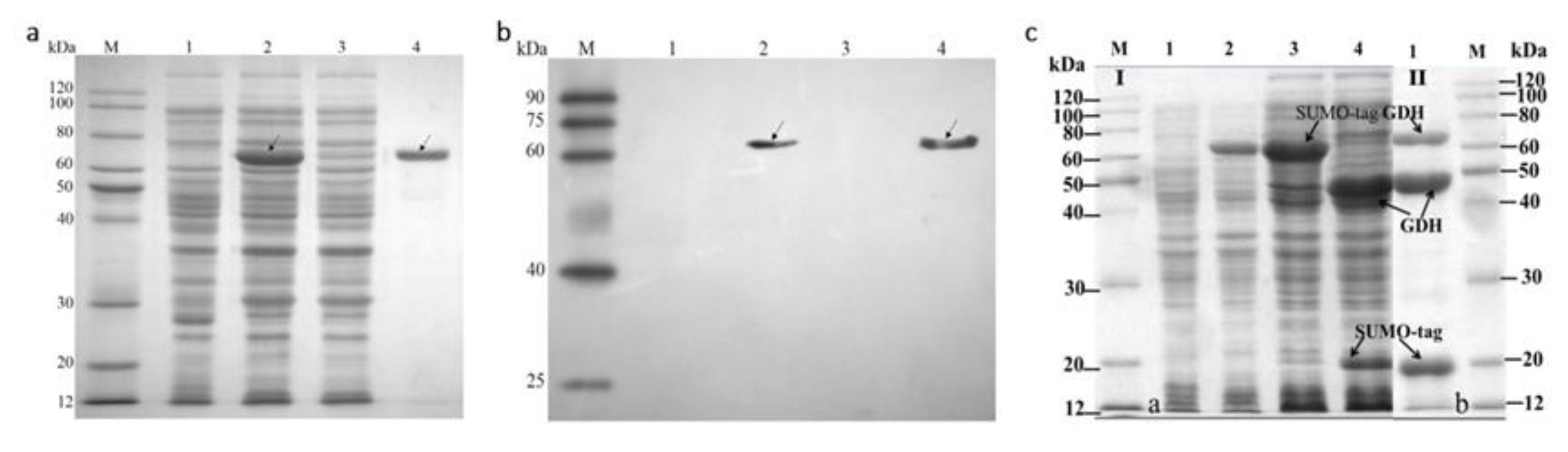 Crystals 13 00980 g002 Crystals 13 00980 g002