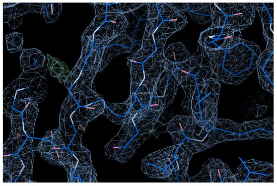 Crystal Structure Analysis and Characterization of NADP-Dependent