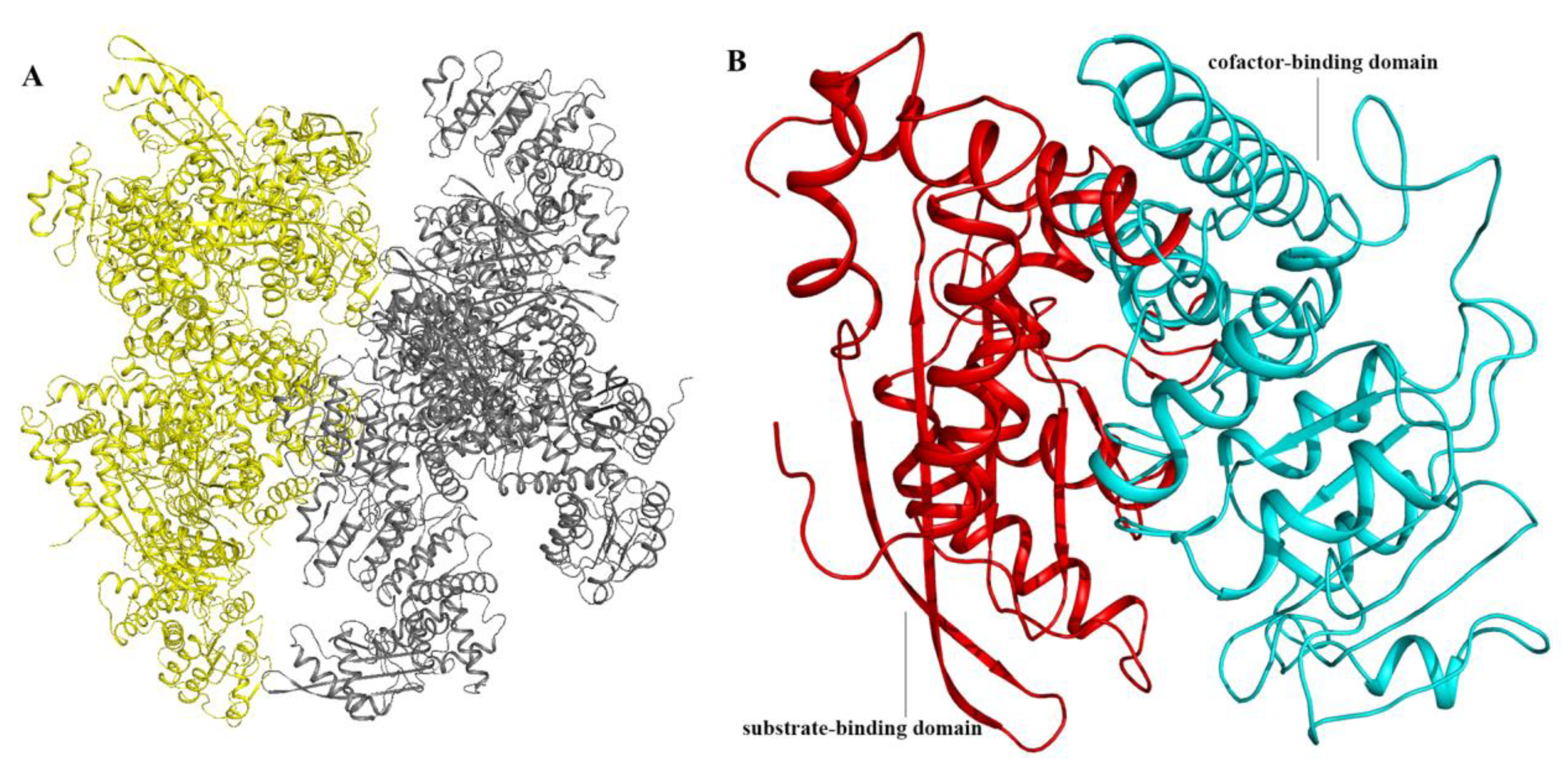Crystals 13 00980 g005 Crystals 13 00980 g005