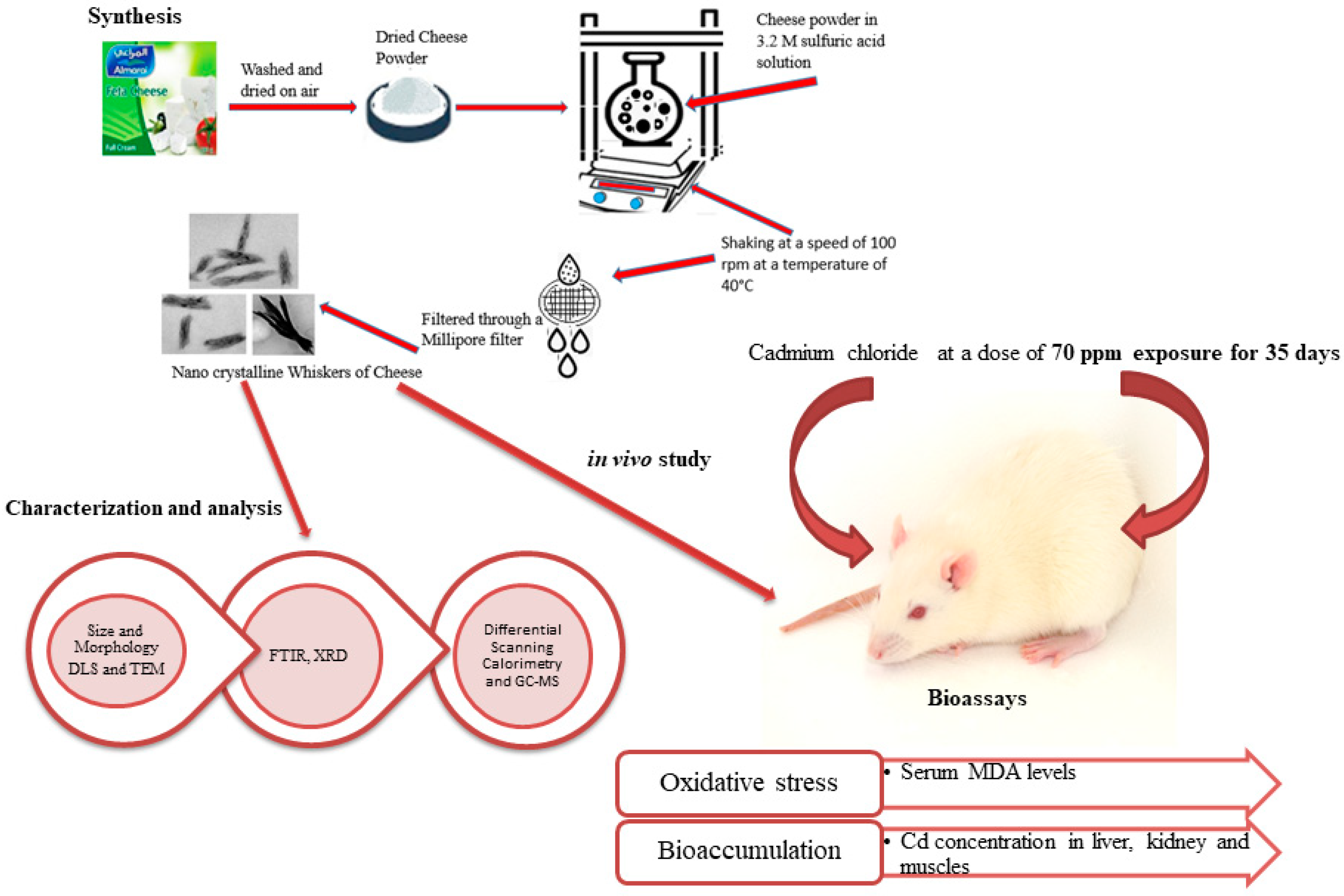 Crystals 13 01013 g001 Crystals 13 01013 g001