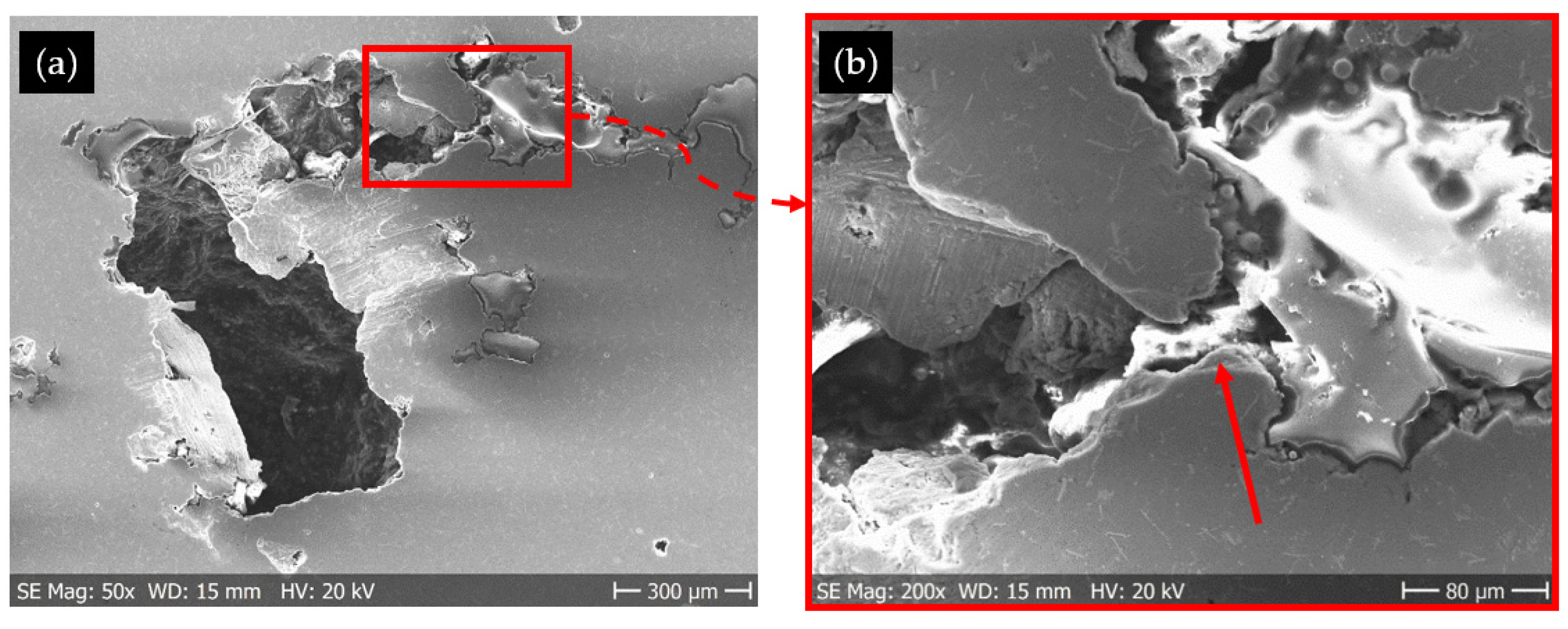 Crystals 13 01014 g007