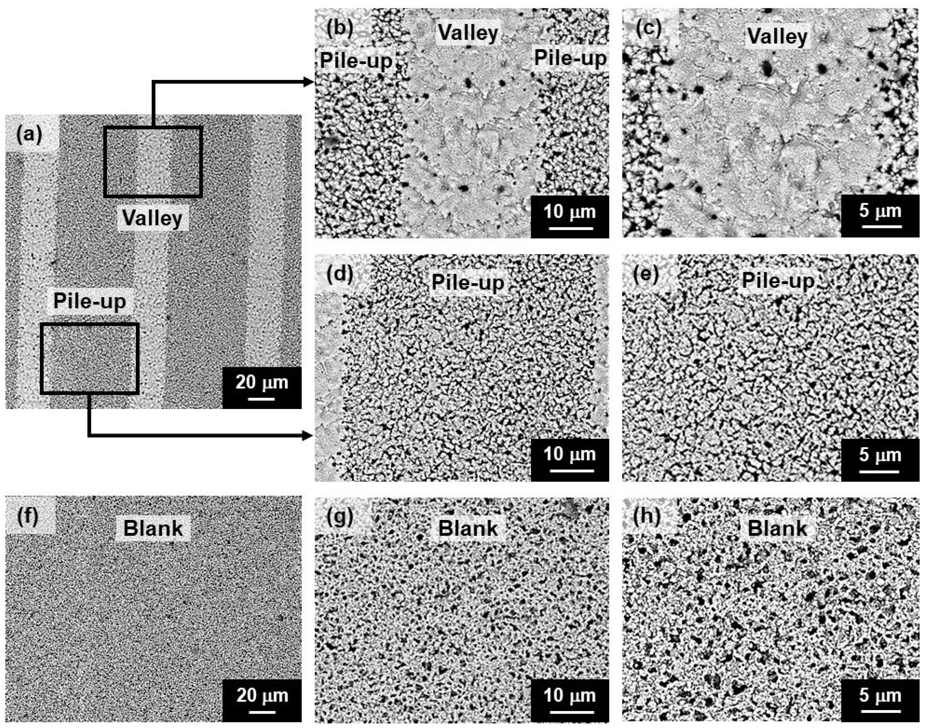 Crystals 13 01016 g005 Crystals 13 01016 g005