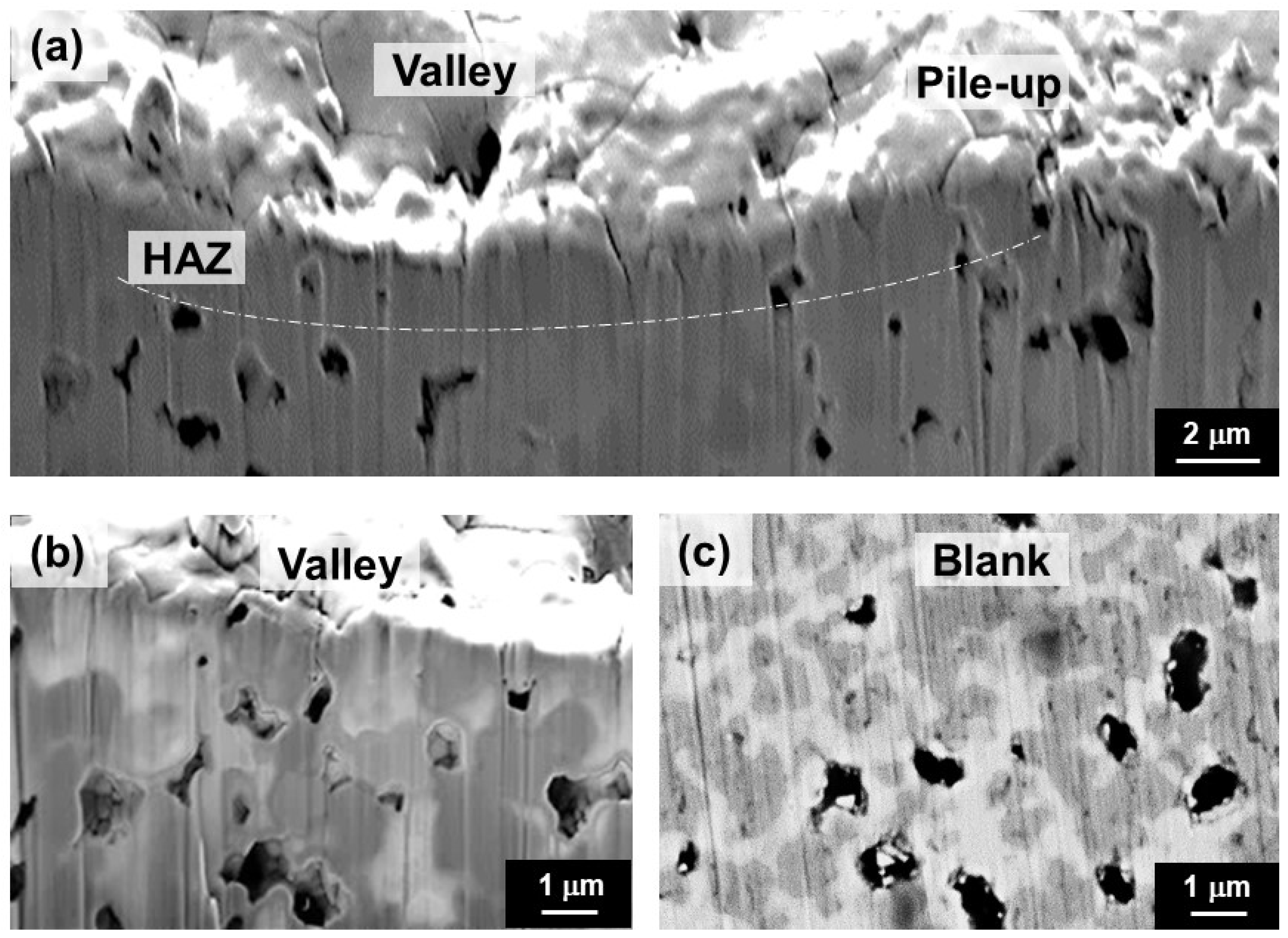 Crystals 13 01016 g007 Crystals 13 01016 g007