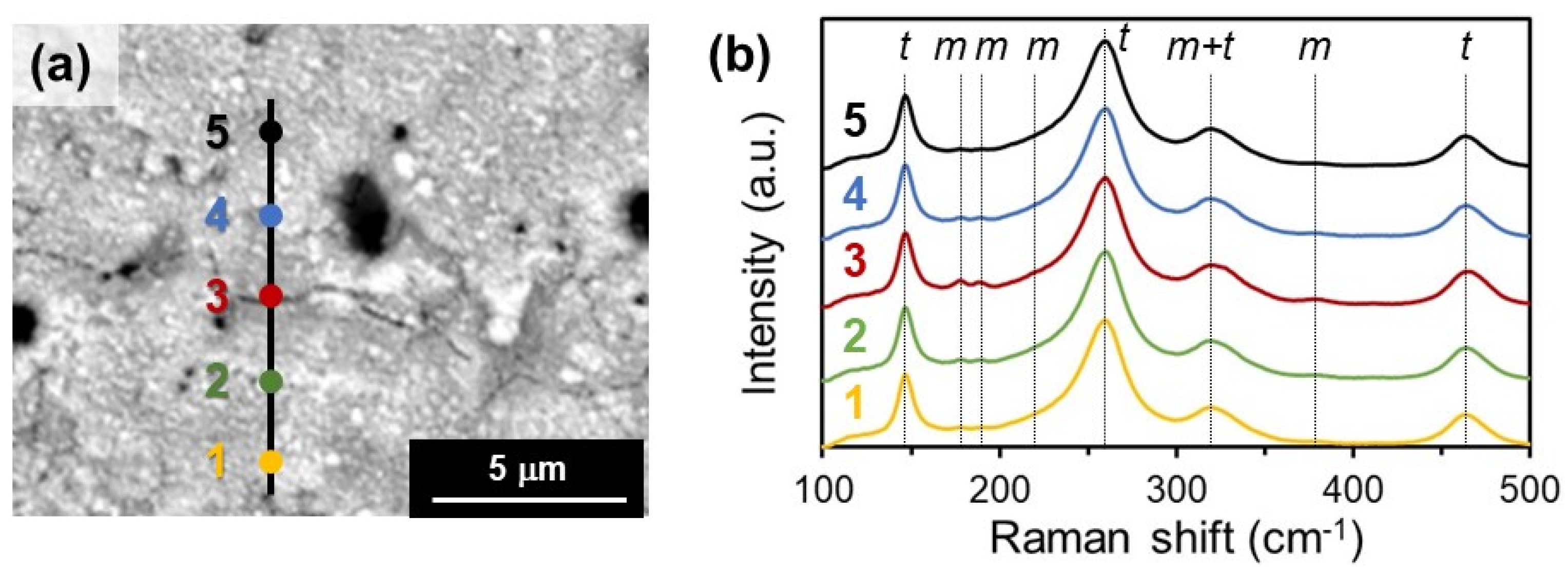 Crystals 13 01016 g009 Crystals 13 01016 g009