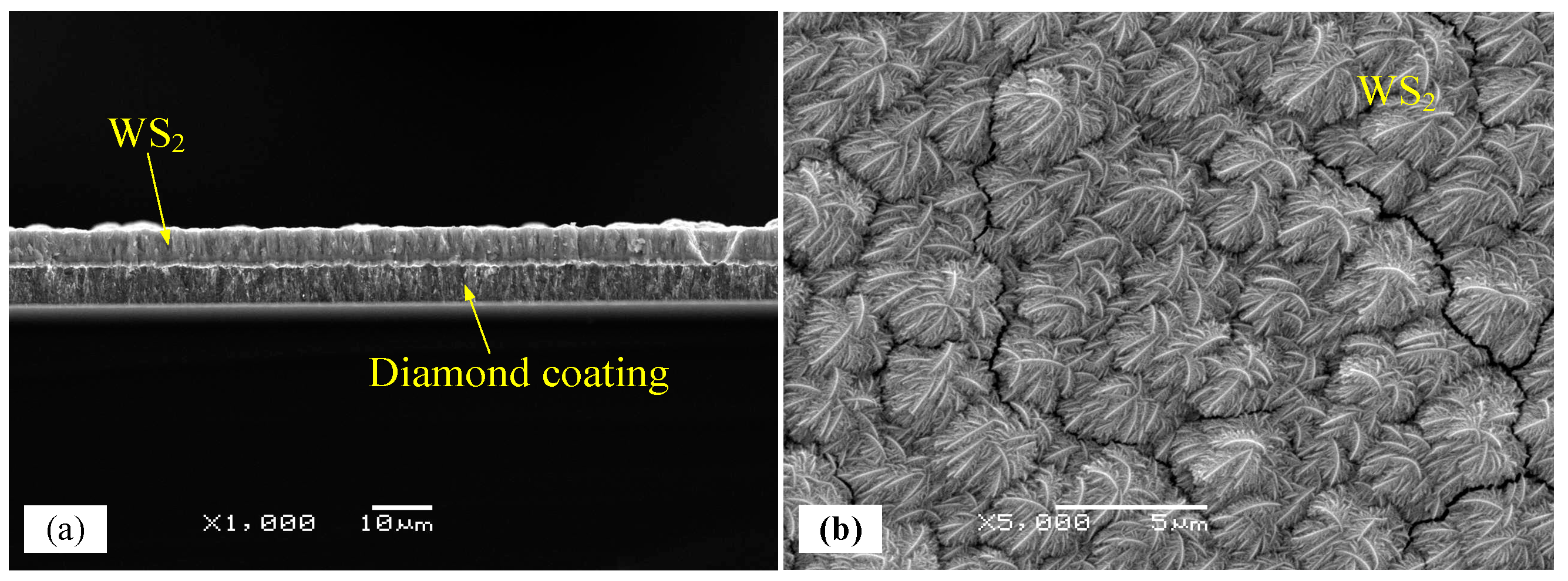 Crystals 13 01034 g014 Crystals 13 01034 g014