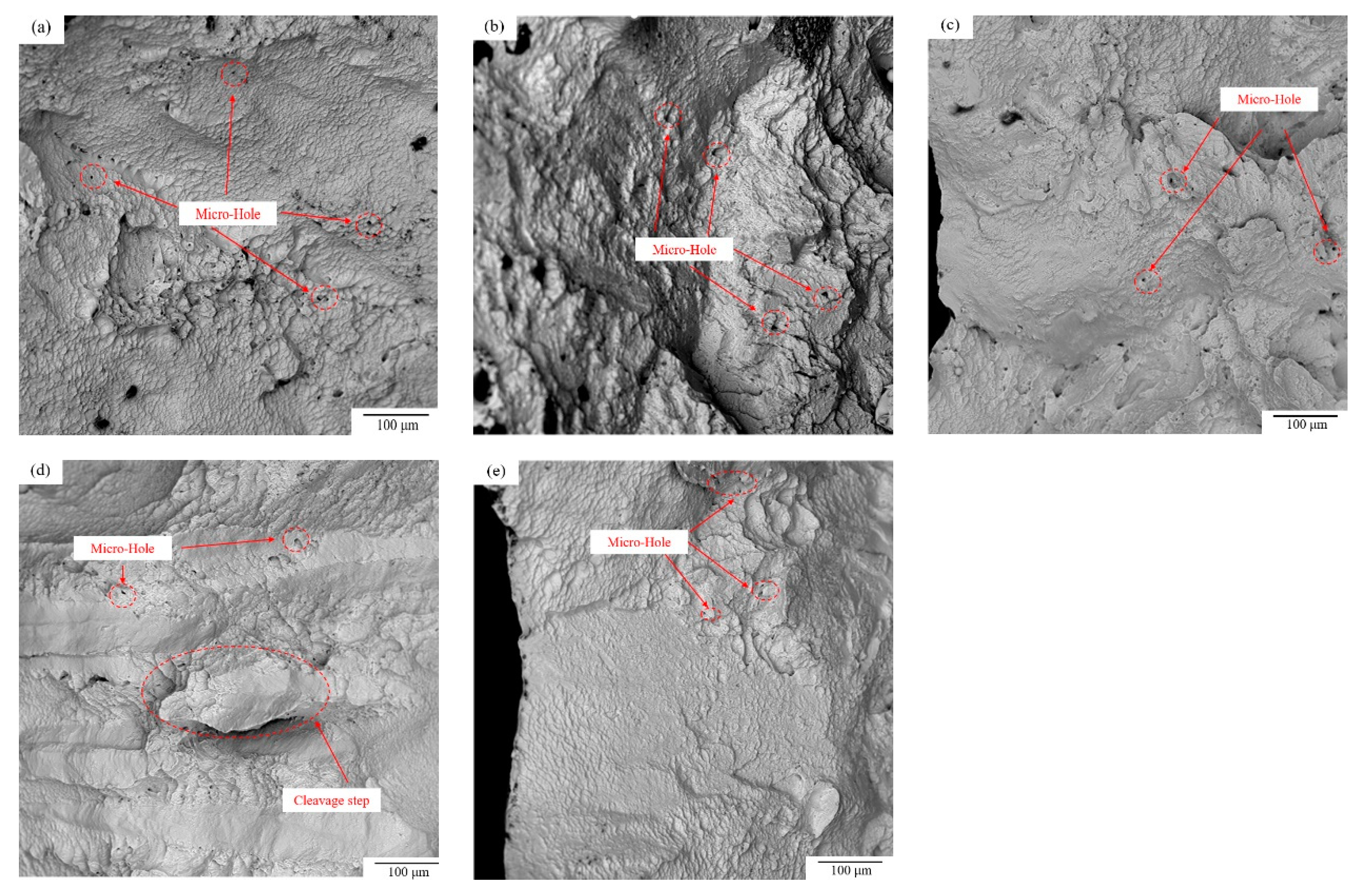 Crystals 13 01041 g009 Crystals 13 01041 g009