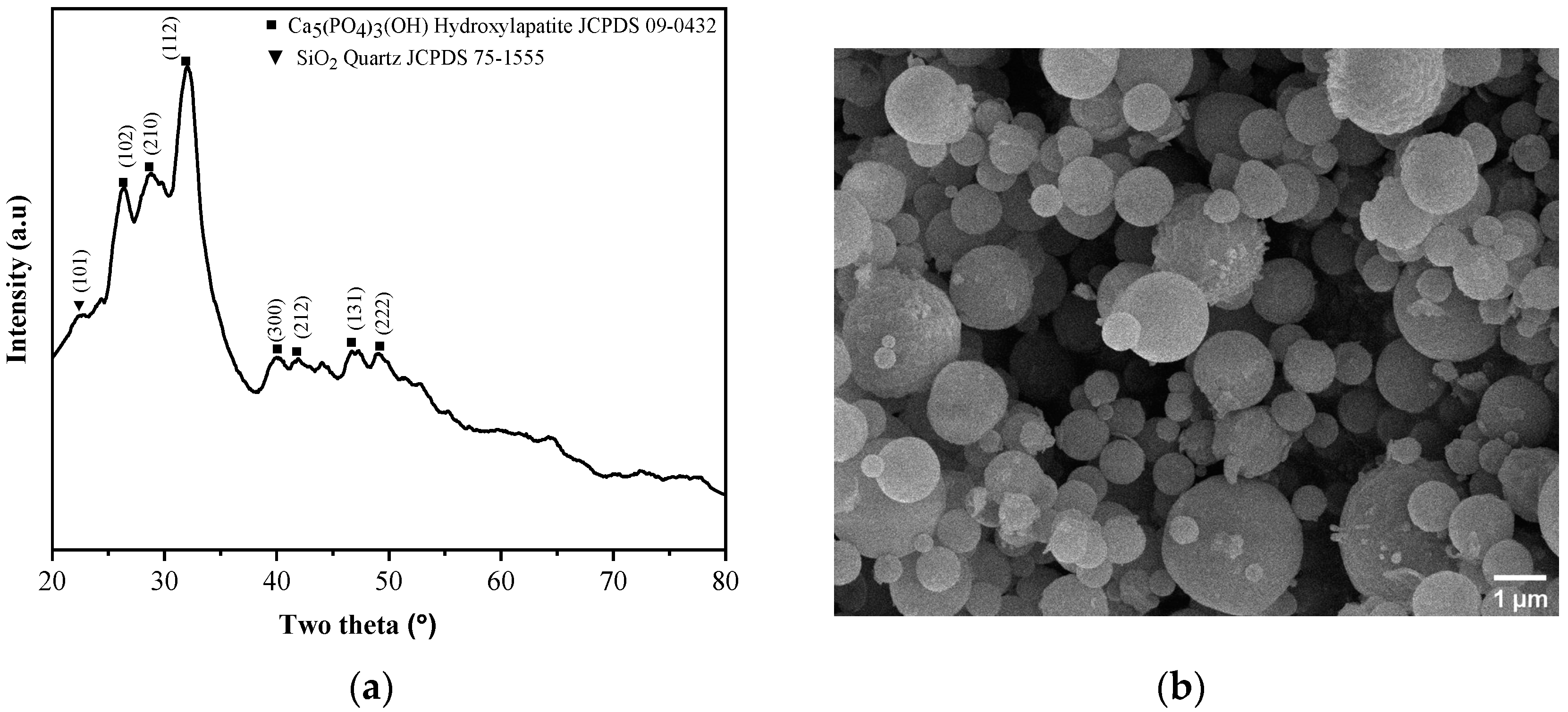 Crystals 13 01049 g001