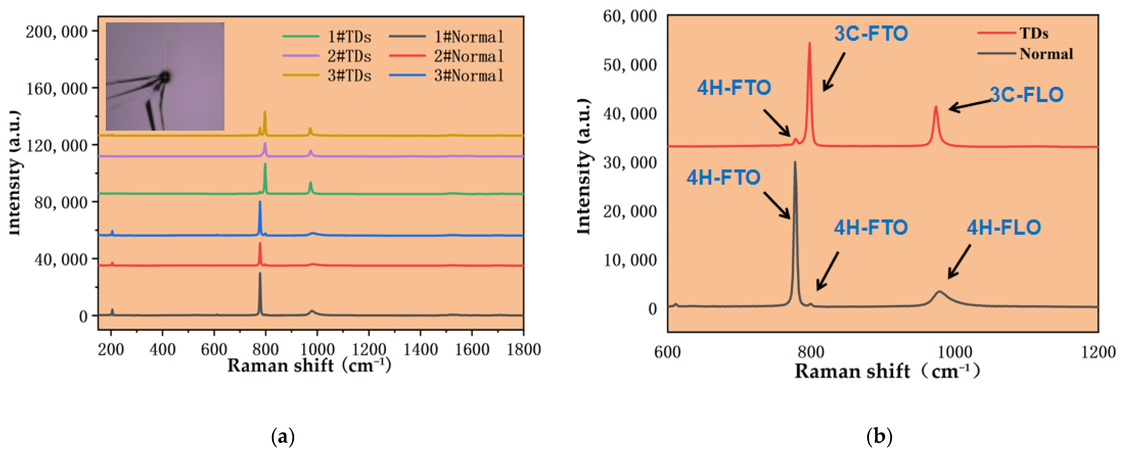 Crystals 13 01056 g003 Crystals 13 01056 g003