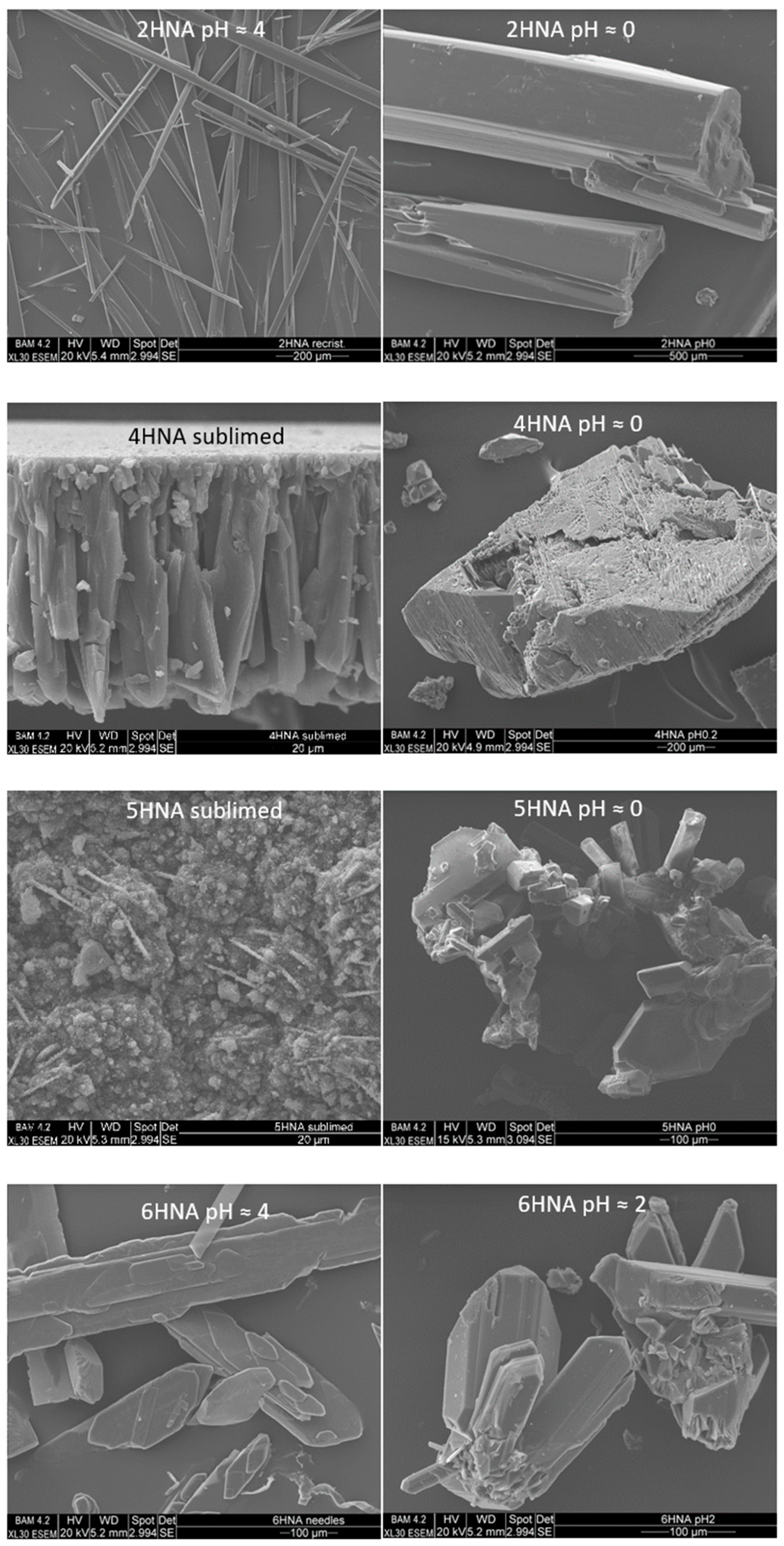 Crystals 13 01062 g006