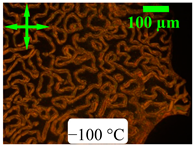 Crystals 13 01064 i029 Crystals 13 01064 i029