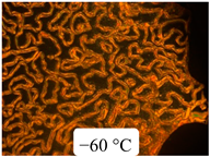 Crystals 13 01064 i030 Crystals 13 01064 i030