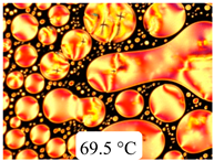 Crystals 13 01064 i033 Crystals 13 01064 i033