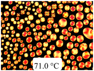 Crystals 13 01064 i034 Crystals 13 01064 i034