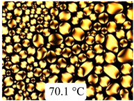 Crystals 13 01064 i041 Crystals 13 01064 i041