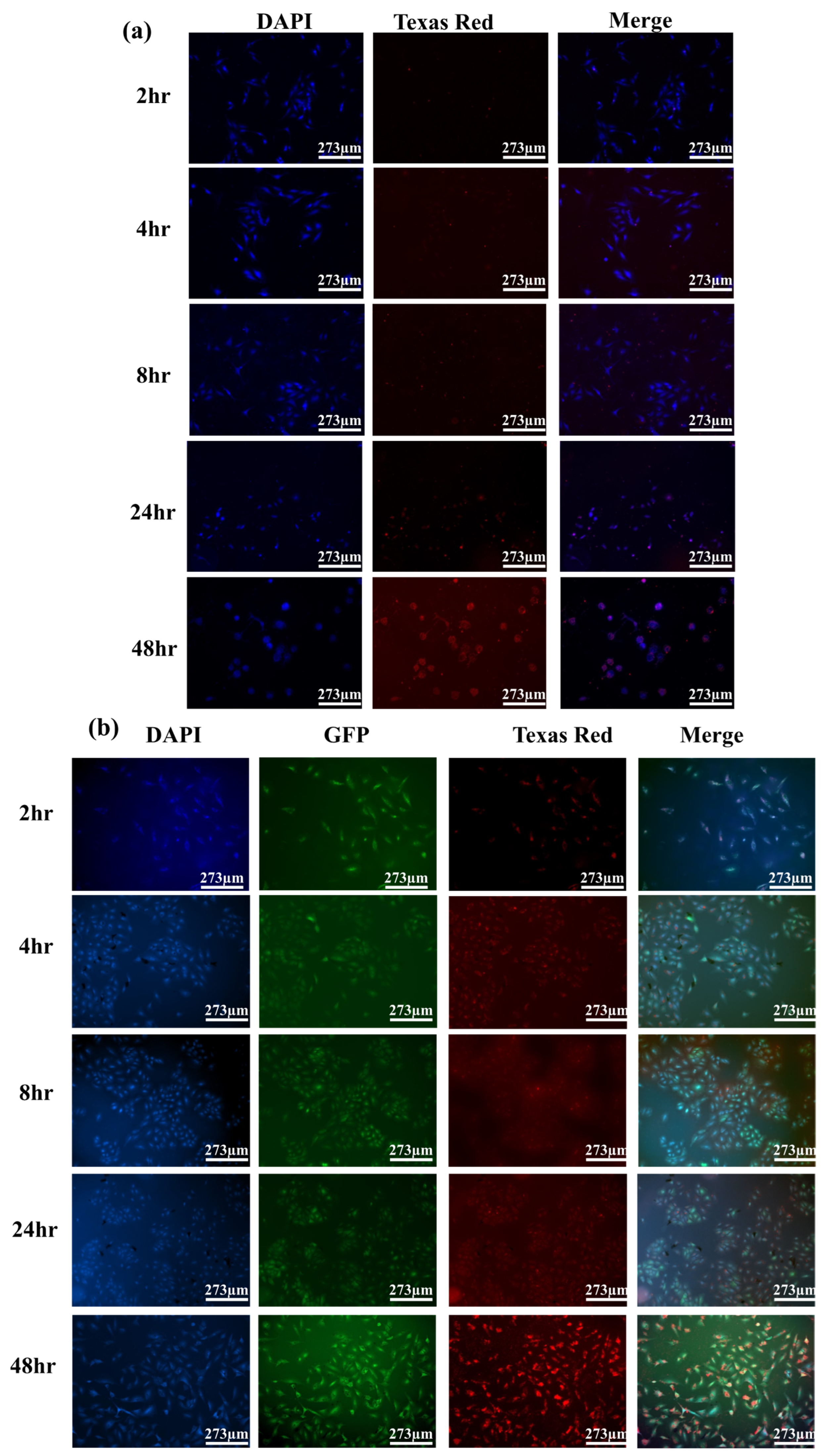 Crystals 13 01067 g011 Crystals 13 01067 g011