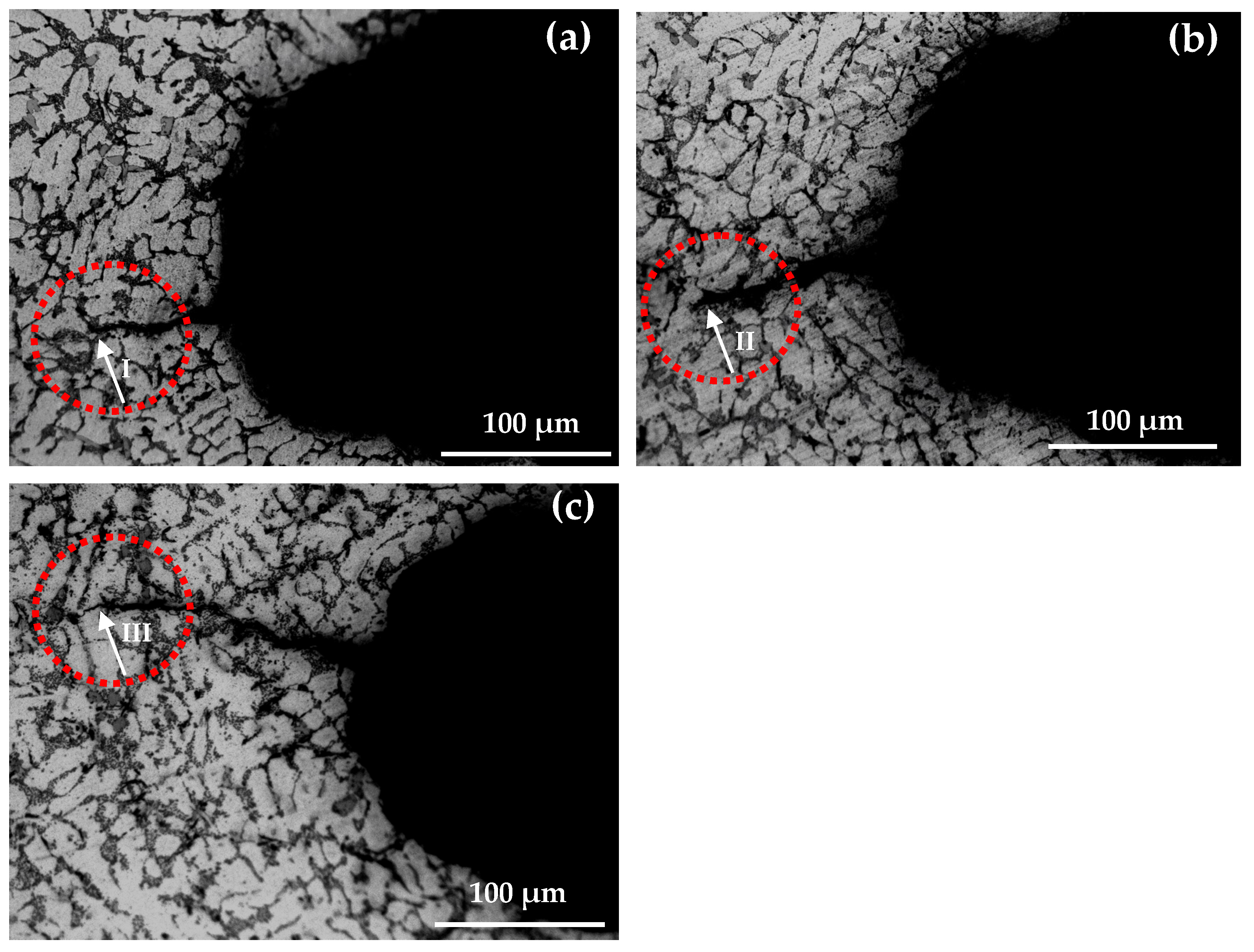 Crystals 13 01068 g013 Crystals 13 01068 g013
