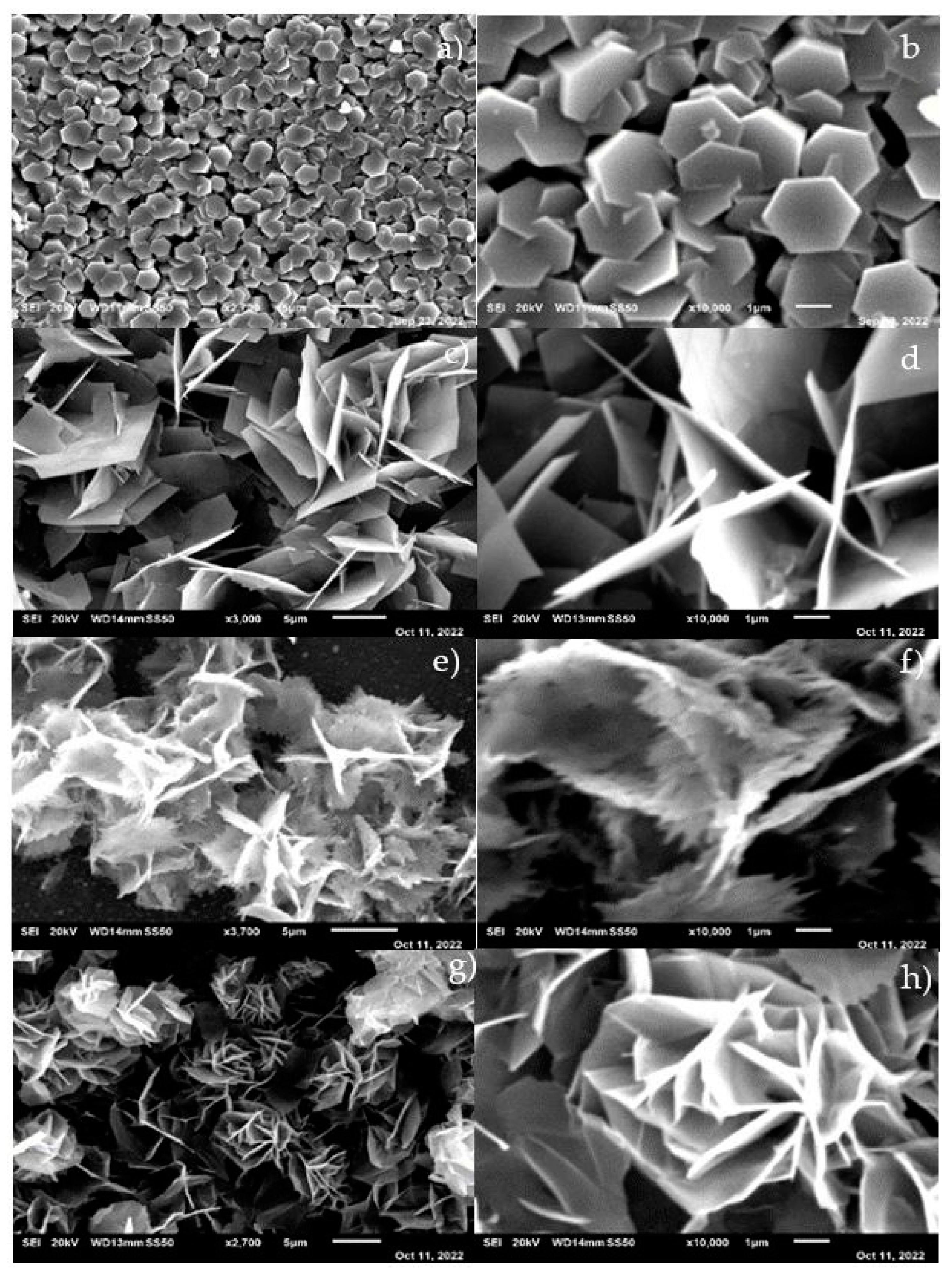 Crystals 13 01087 g004 Crystals 13 01087 g004