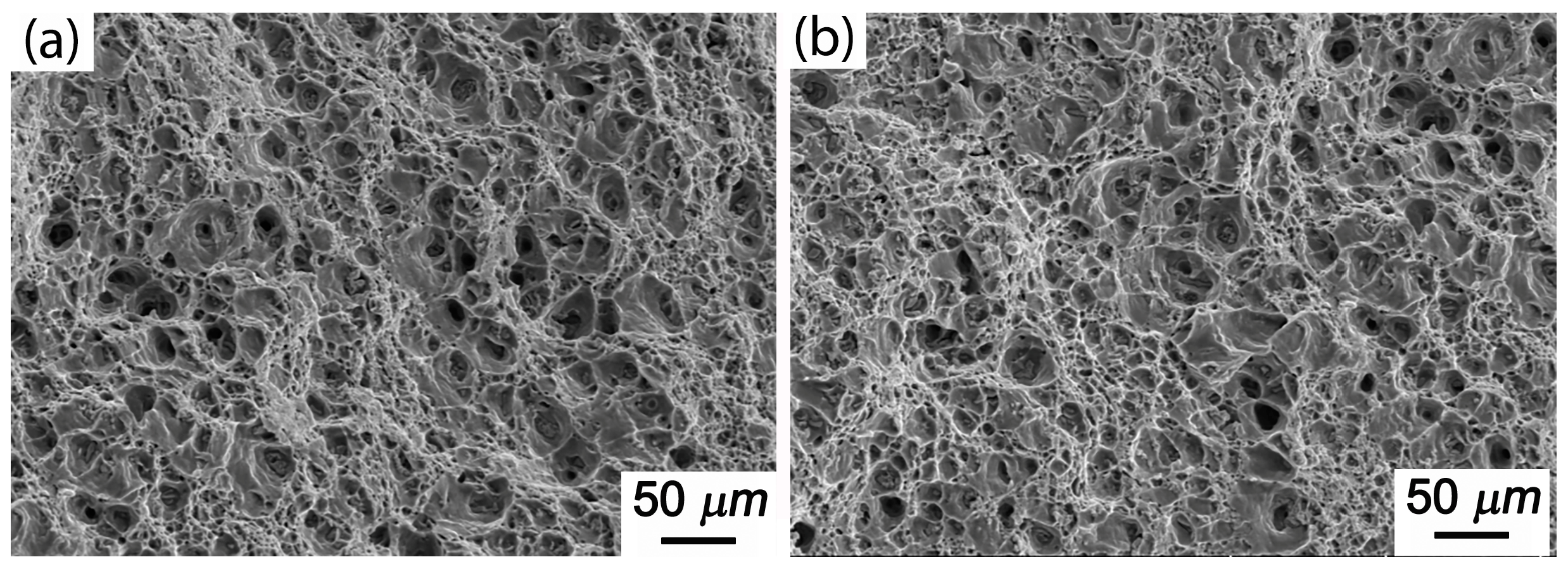 Crystals 13 01096 g010