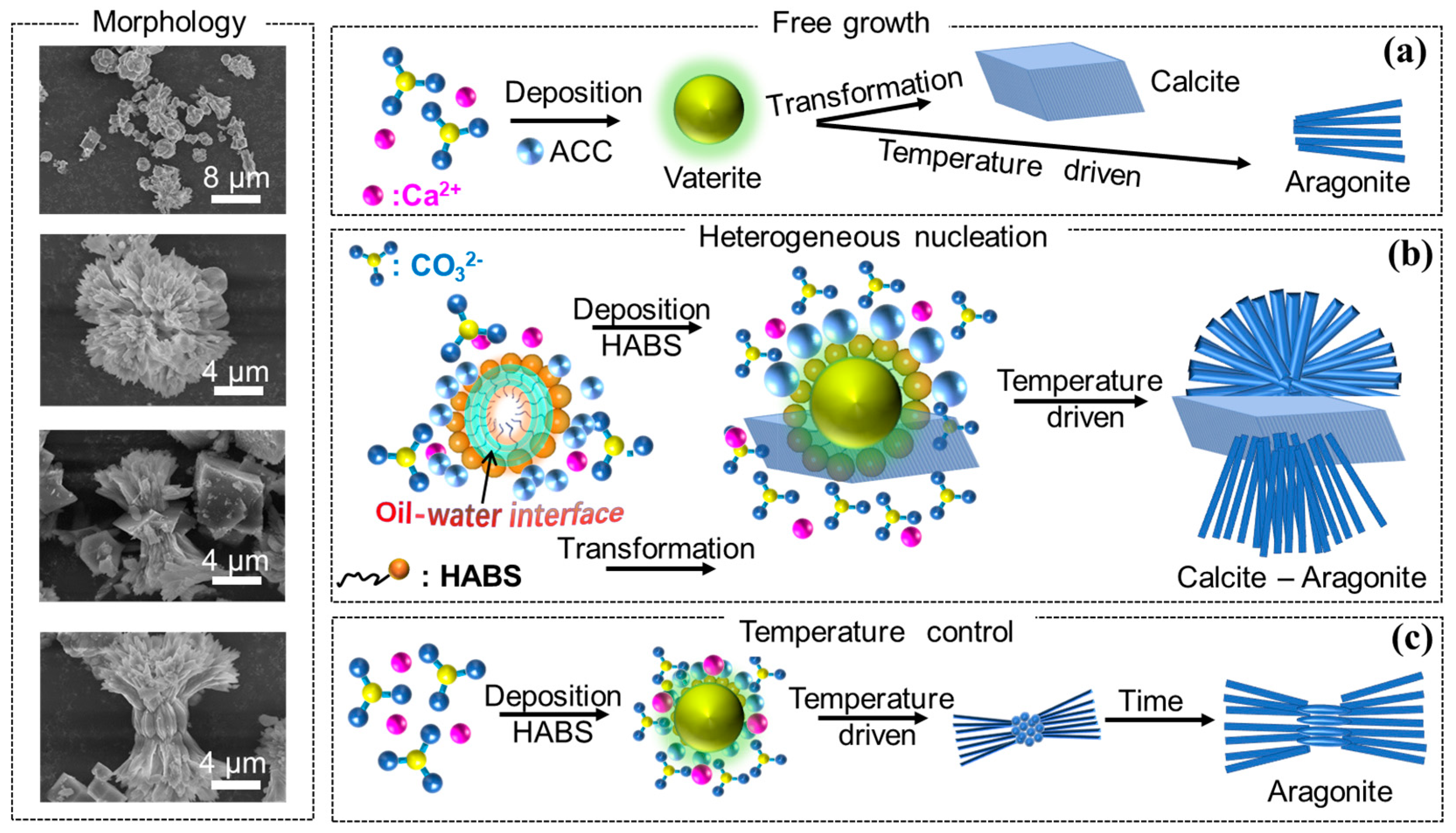 Crystals 13 01107 g006 Crystals 13 01107 g006