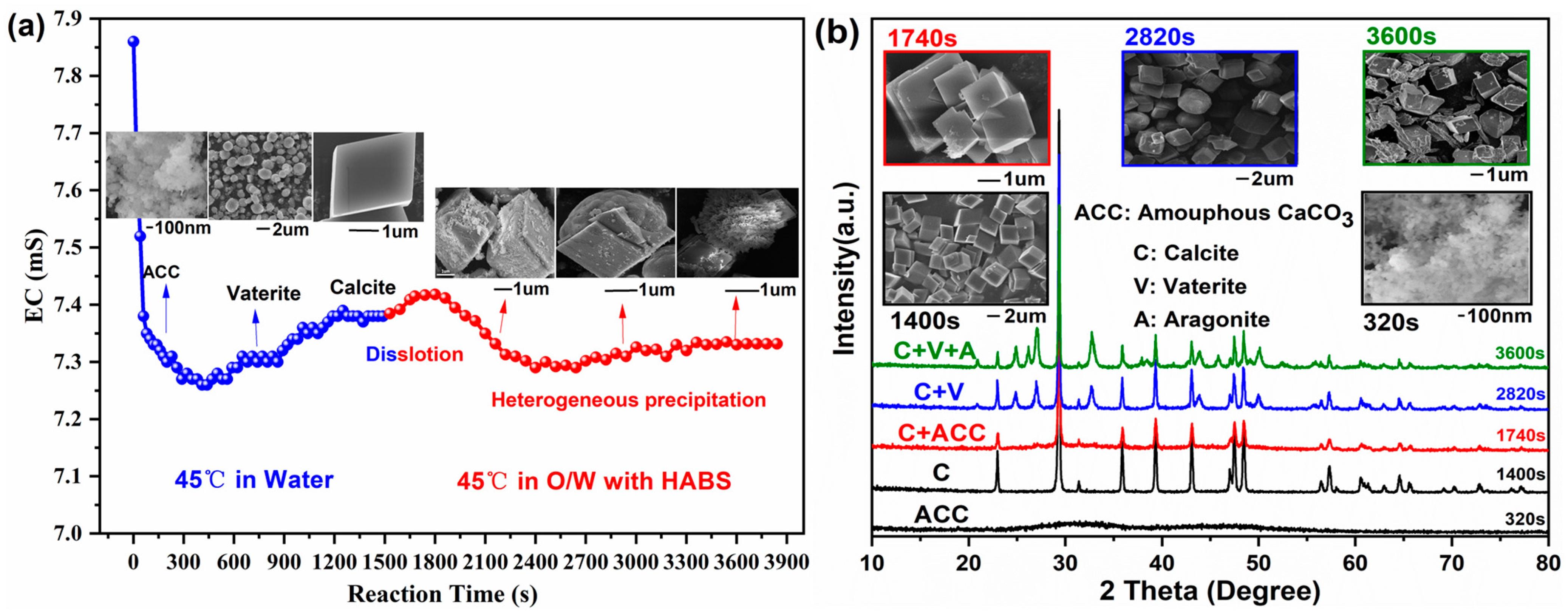 Crystals 13 01107 g007 Crystals 13 01107 g007