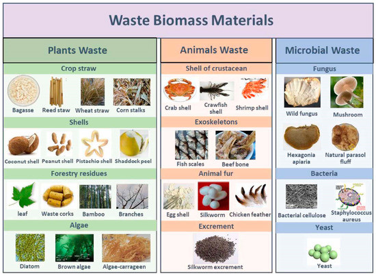 An Overview of Active Electrode Materials for the Efficient High 