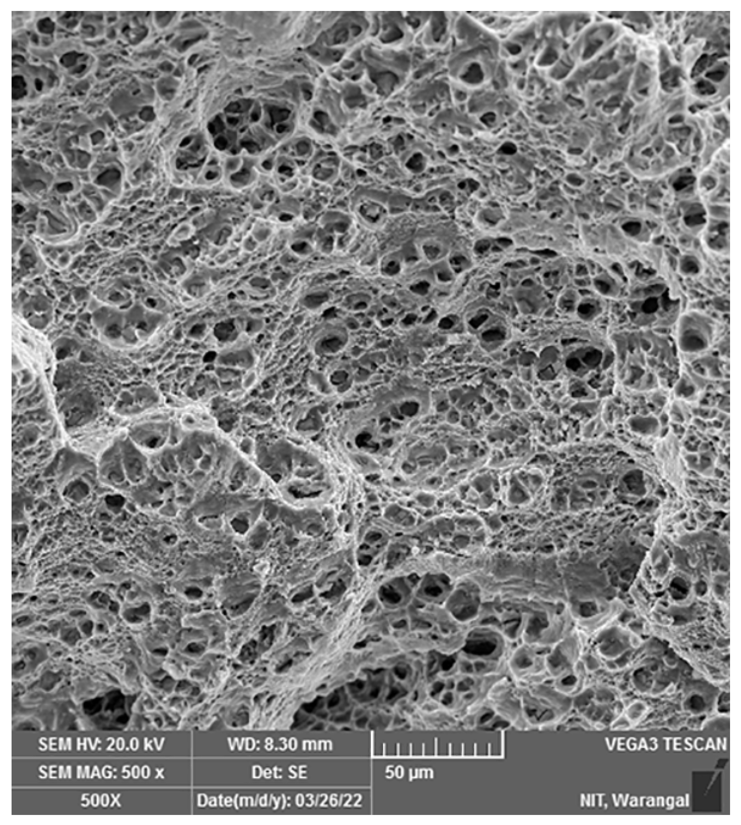 Crystals 13 01119 g012