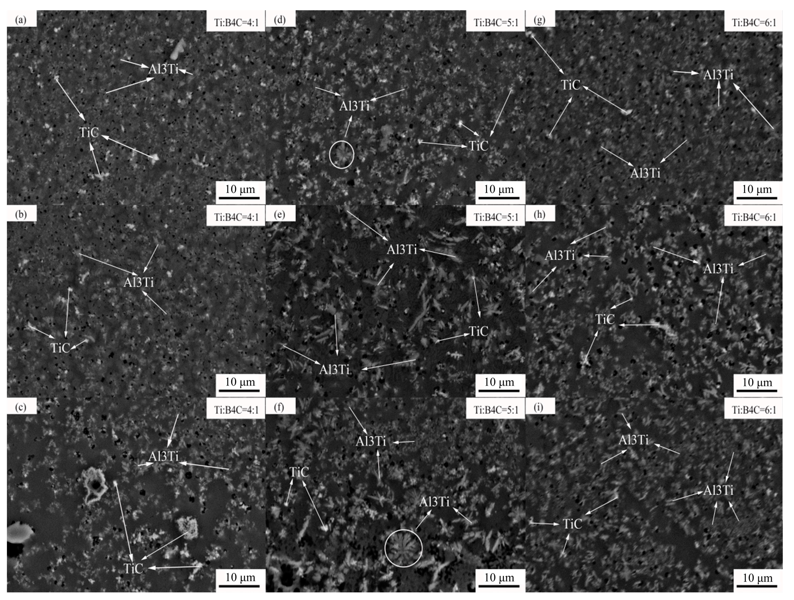 Crystals 13 01151 g009 Crystals 13 01151 g009