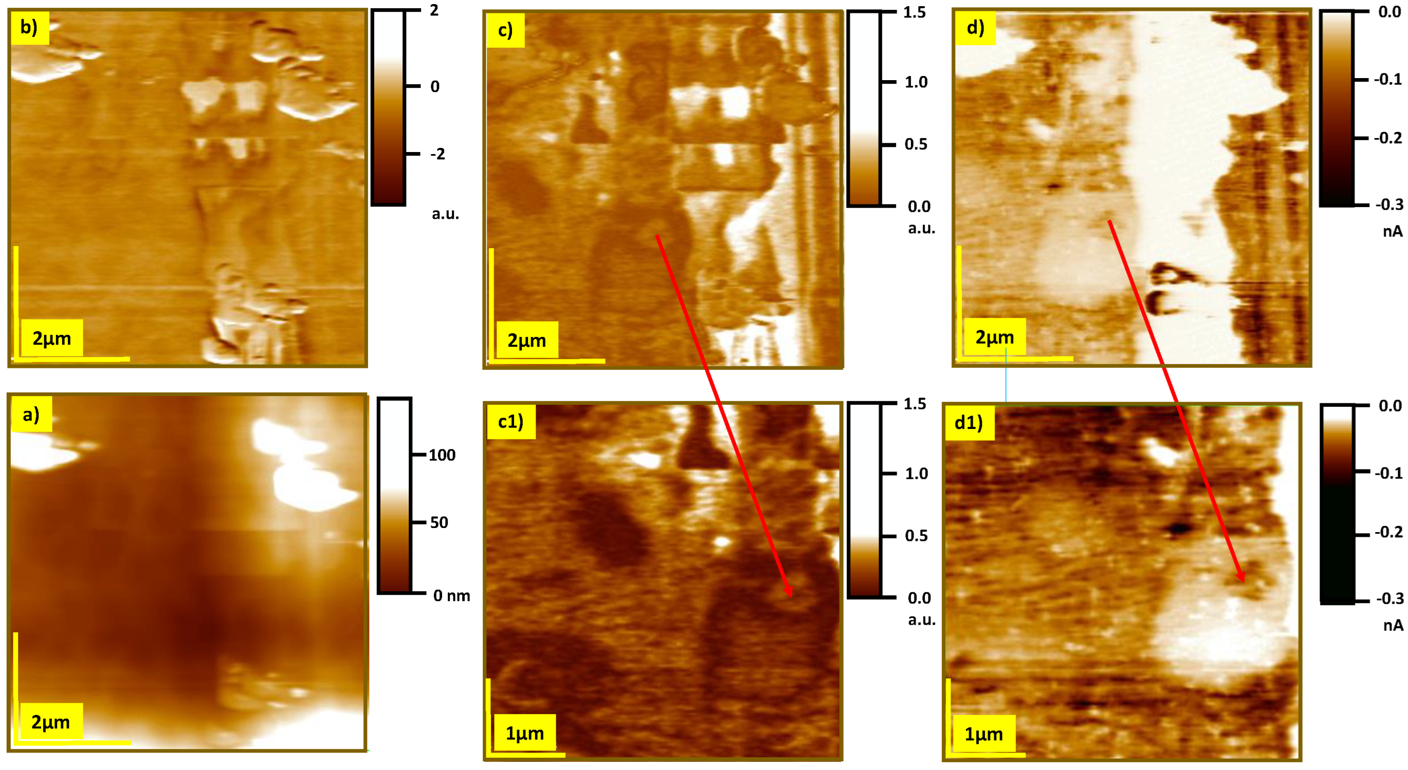 Crystals 13 01155 g005 Crystals 13 01155 g005