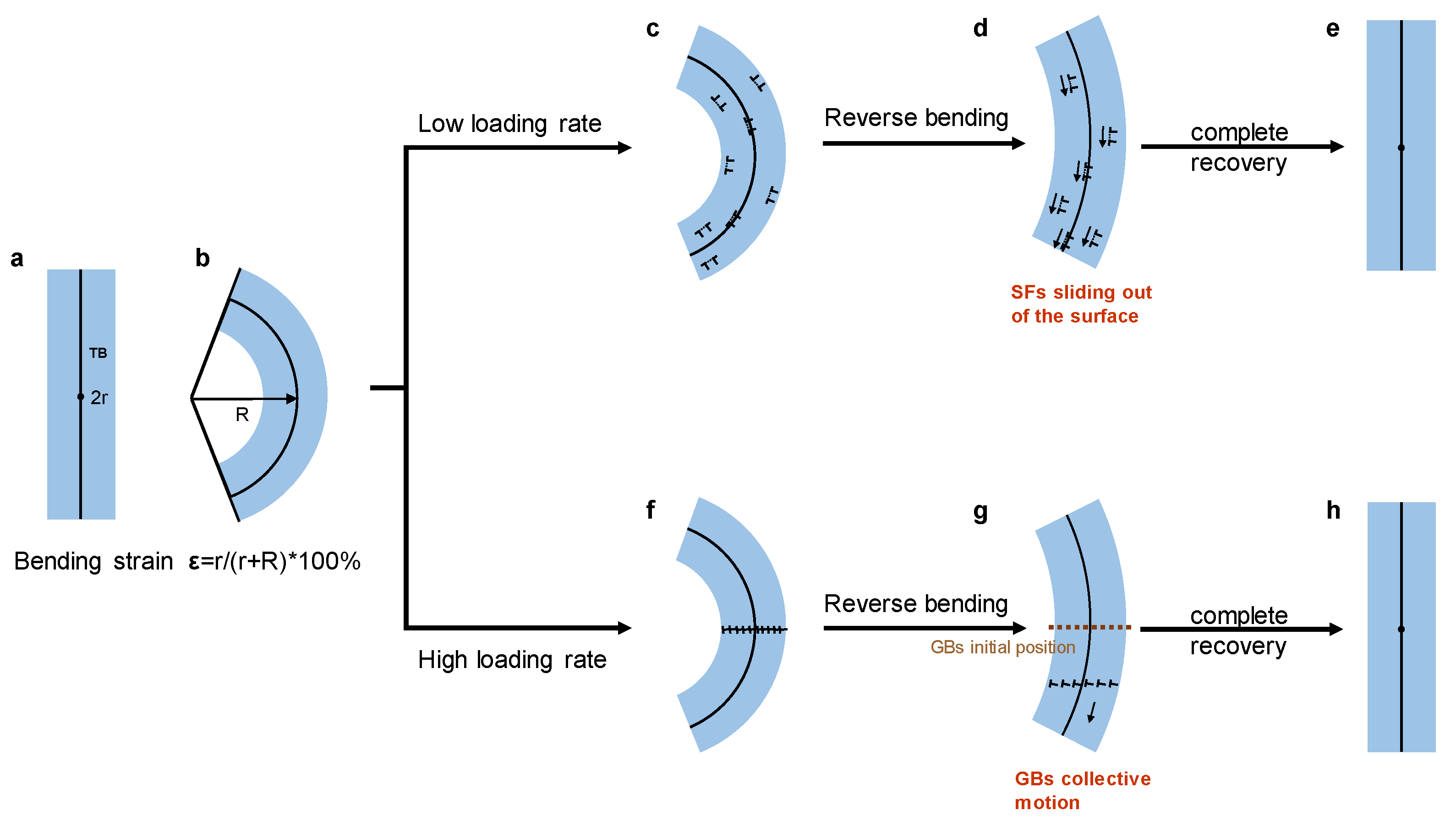 Crystals 13 01159 g004