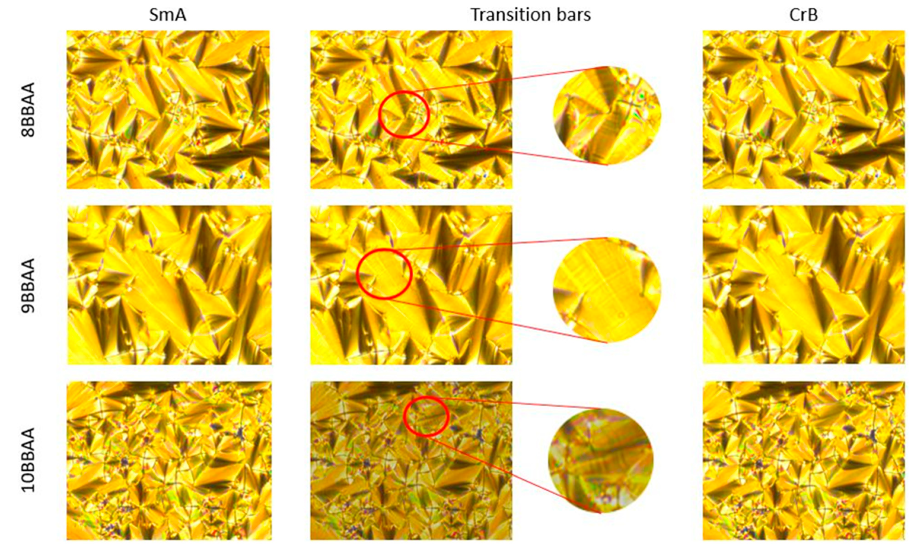 Crystals 13 01187 g001 Crystals 13 01187 g001