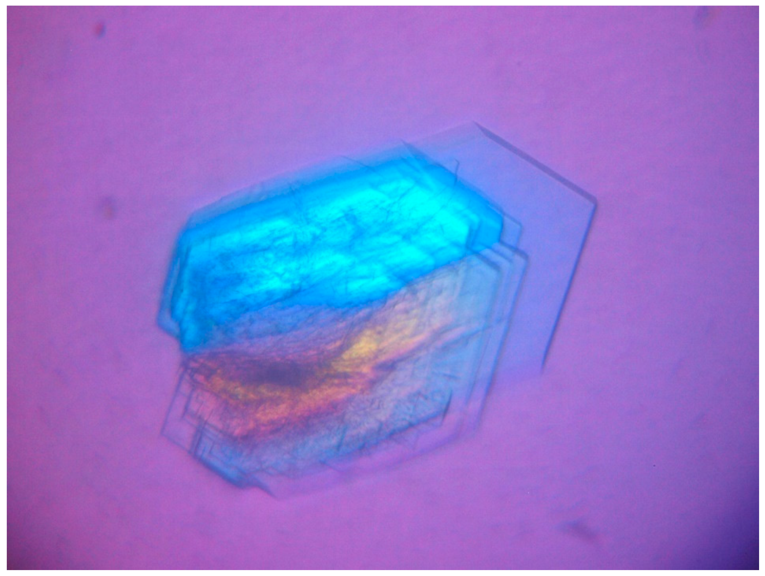 Crystals 13 01197 g001 Crystals 13 01197 g001