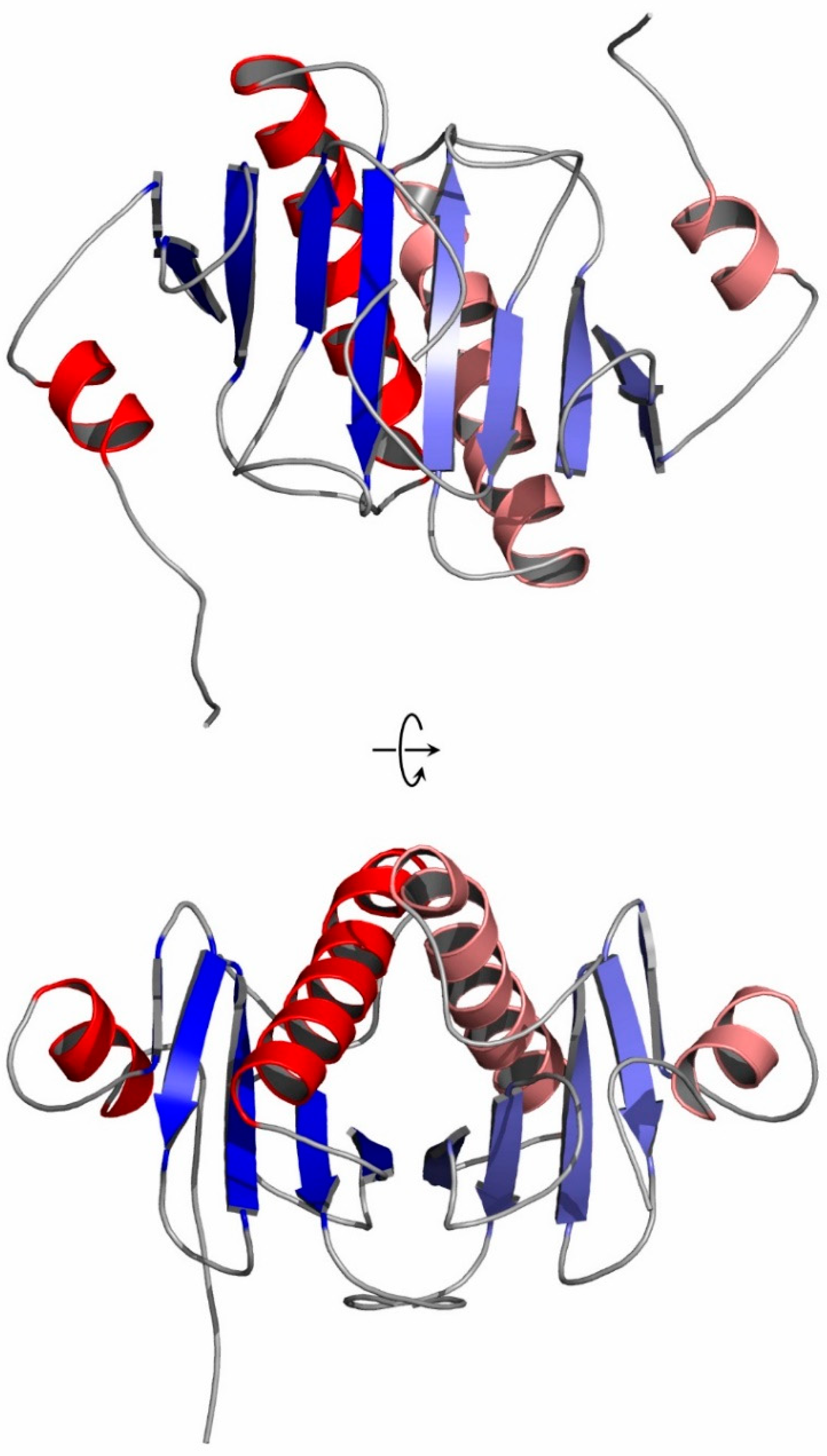 Crystals 13 01197 g002 Crystals 13 01197 g002