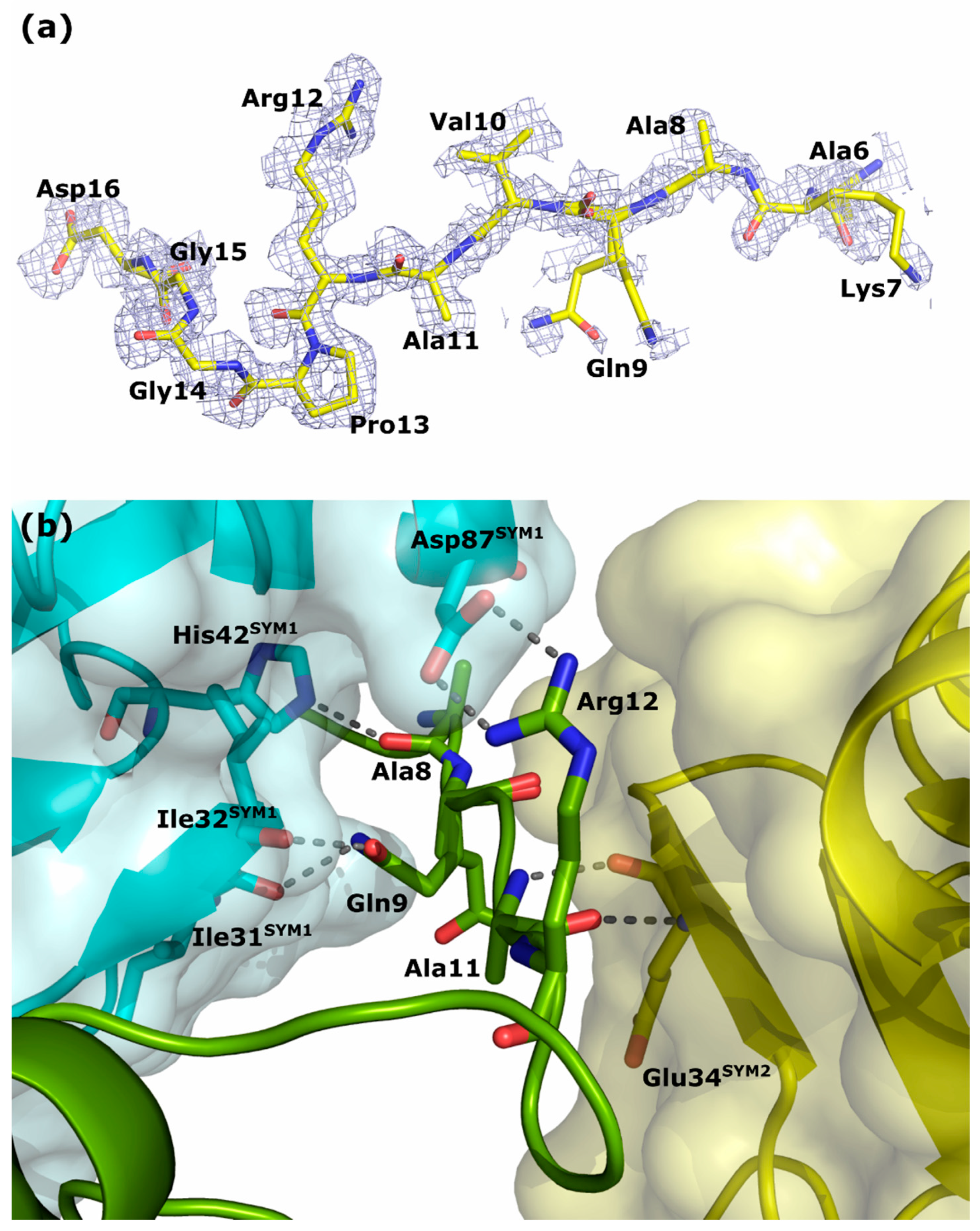Crystals 13 01197 g005 Crystals 13 01197 g005