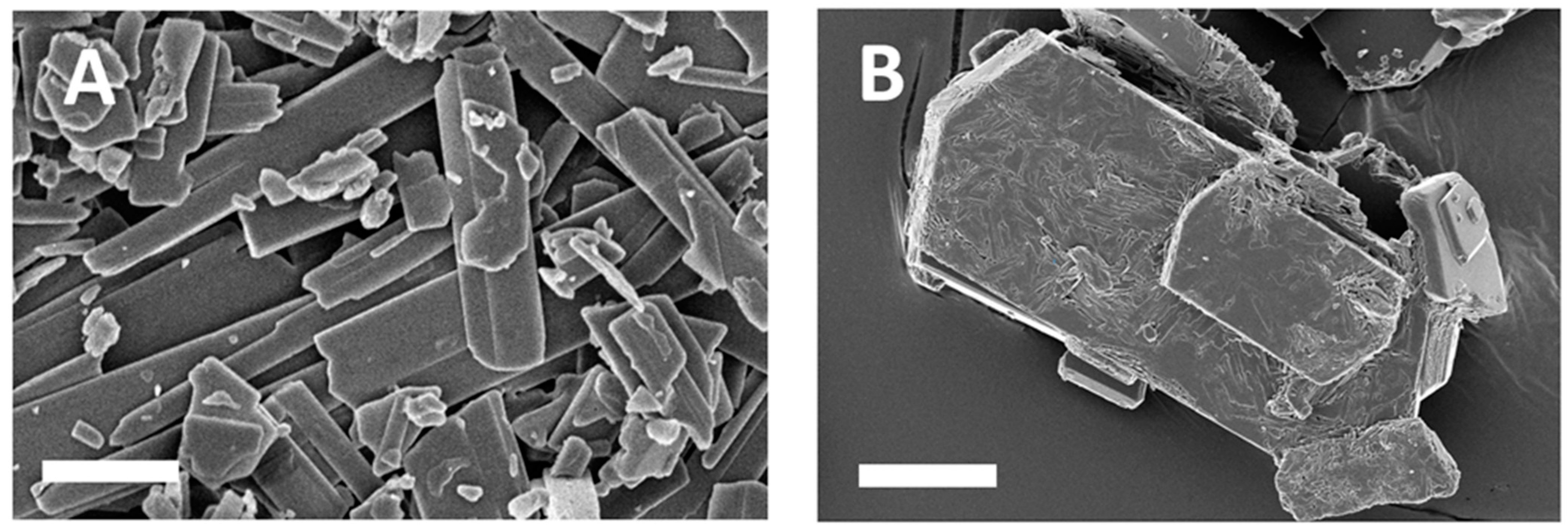 Crystals 13 01211 g005