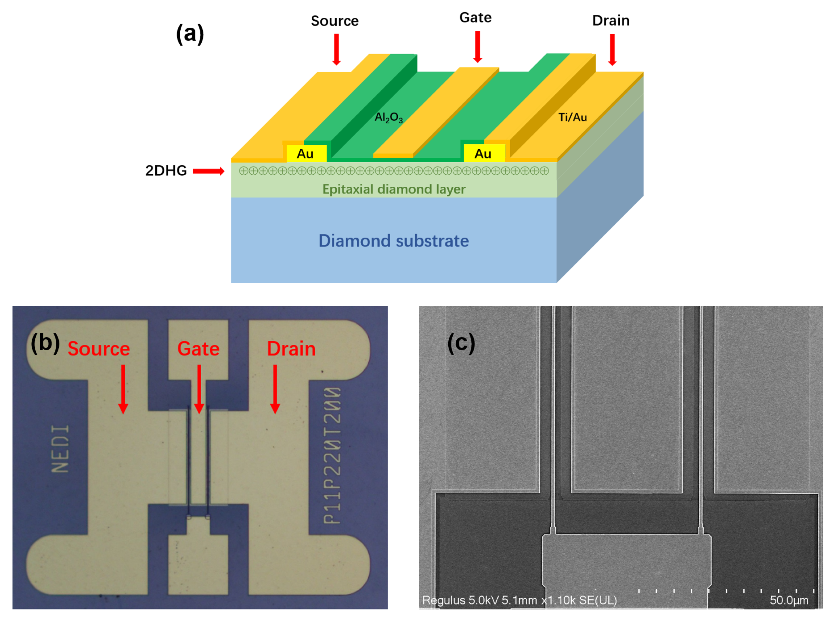 Crystals 13 01221 g002