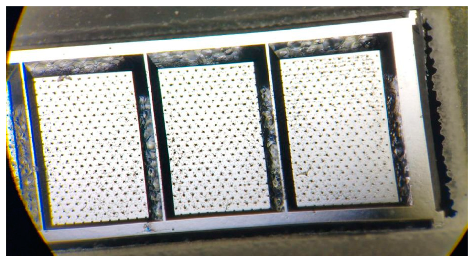 Crystals 13 01225 g001 Crystals 13 01225 g001