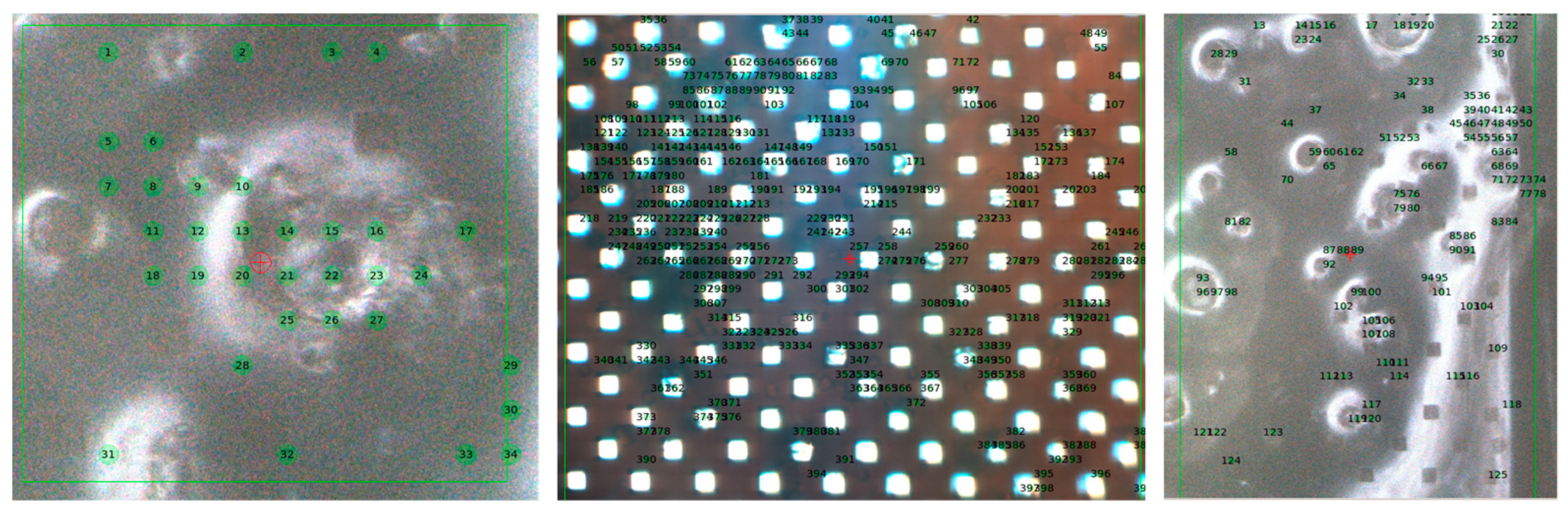 Crystals 13 01225 g004 Crystals 13 01225 g004