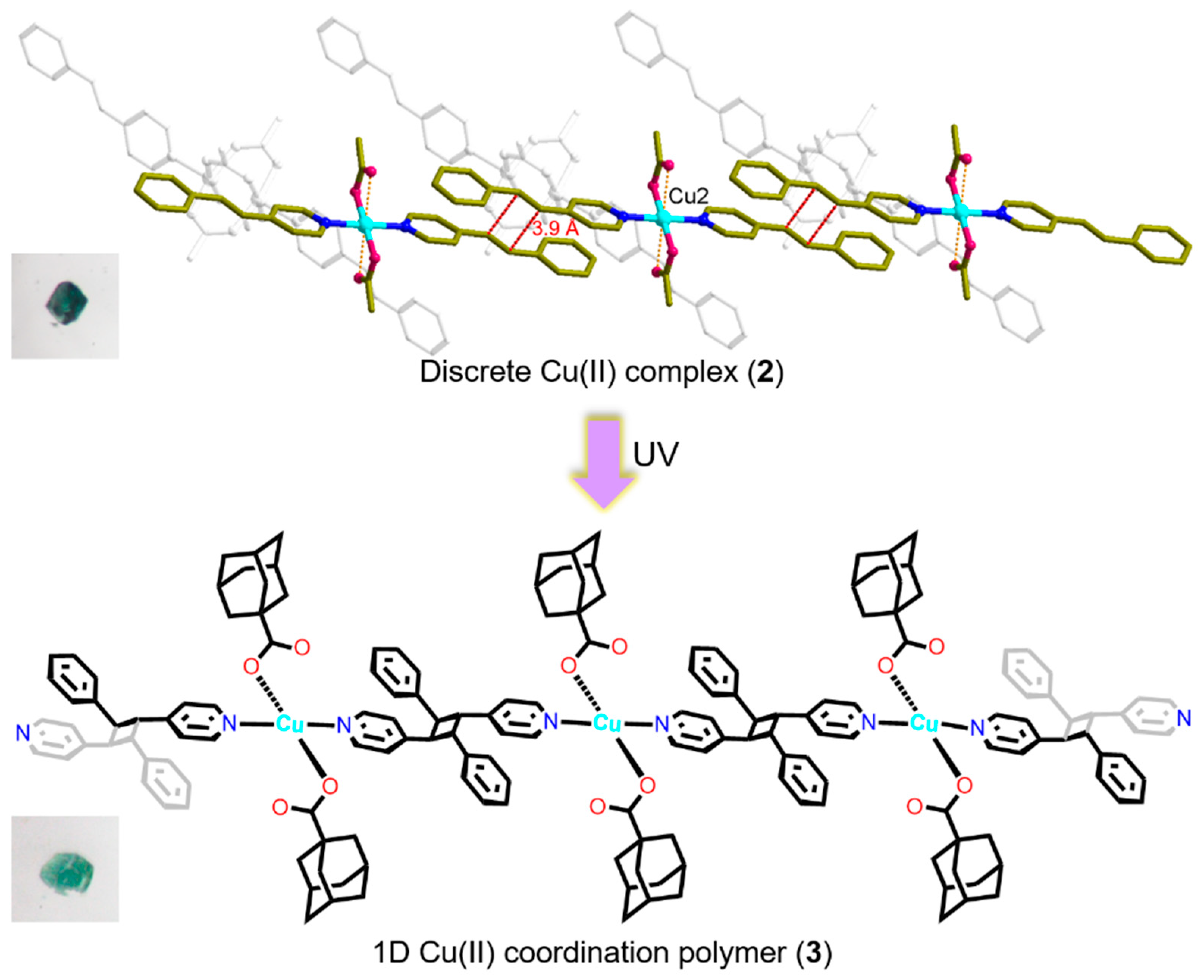 Crystals 13 01226 g005