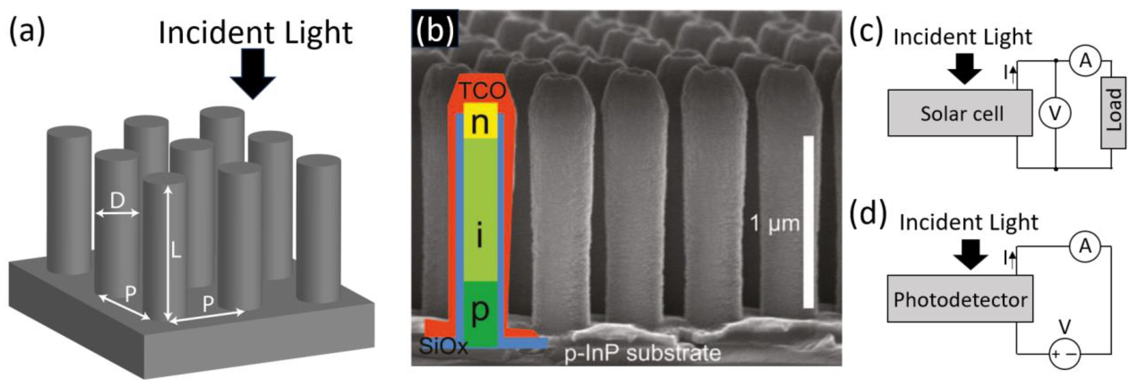 Crystals Free FullText Absorption of Light in Vertical IIIV Semiconductor Nanowires for