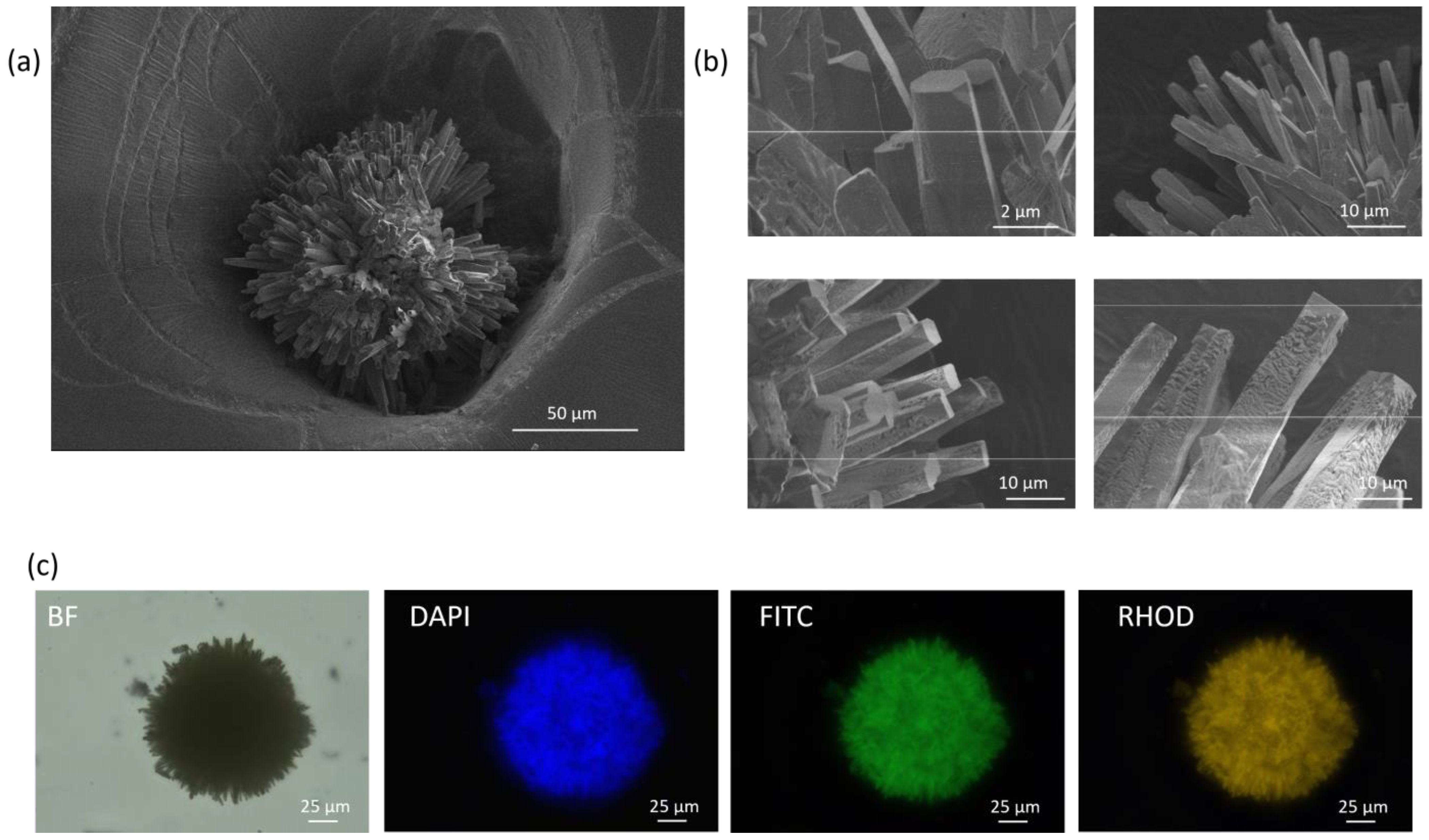 Crystals 13 01302 g009