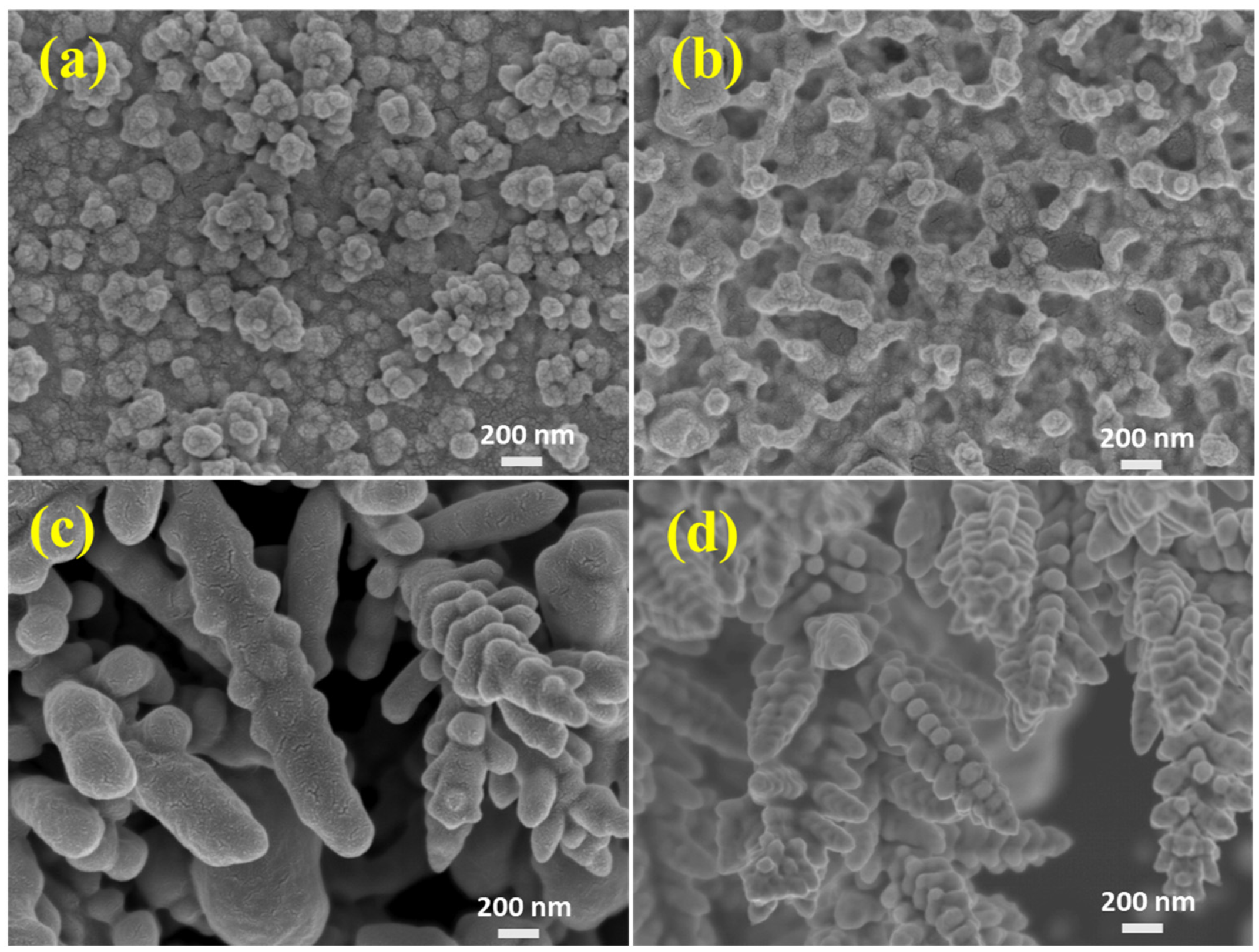 Crystals 13 01315 g004